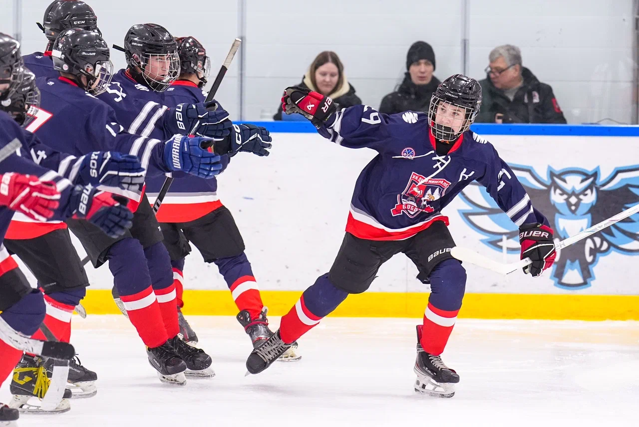 Фото: Деко Минералс - Московская академия хоккея (девочки) 2012