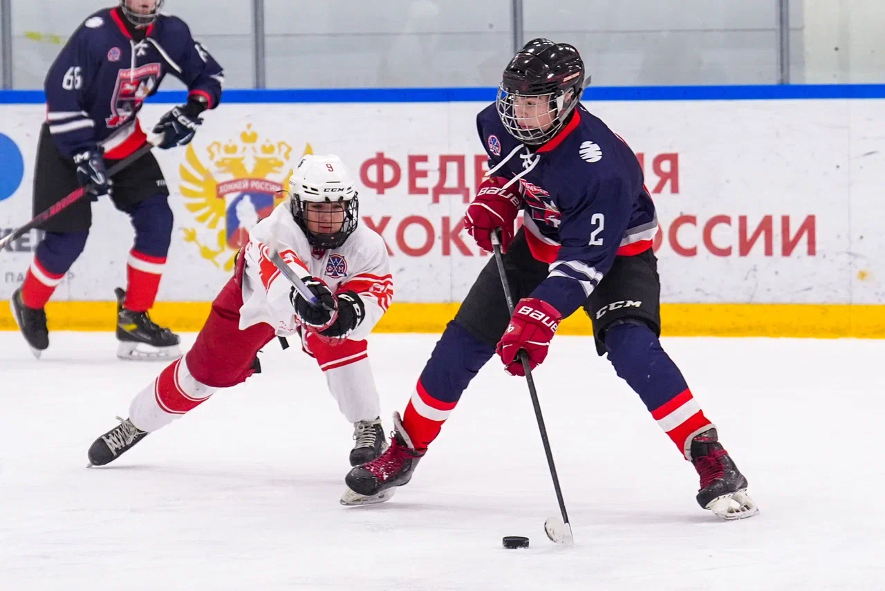 Фото: Деко Минералс - Московская академия хоккея (девочки) 2012