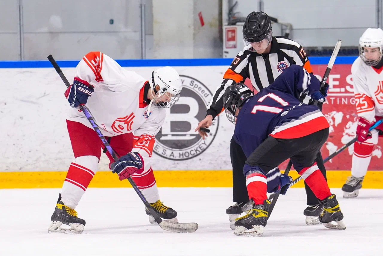 Фото: Деко Минералс - Московская академия хоккея (девочки) 2012