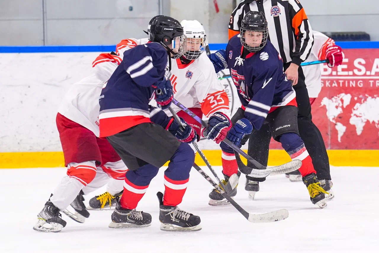 Фото: Деко Минералс - Московская академия хоккея (девочки) 2012