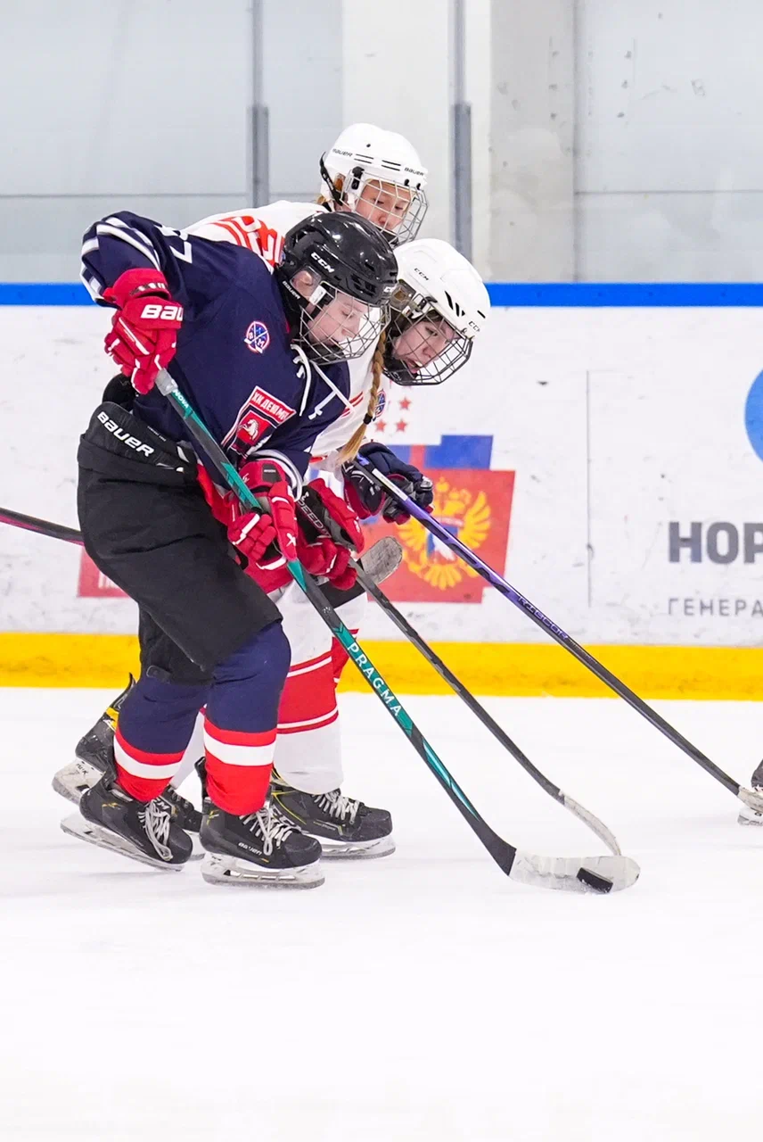 Фото: Деко Минералс - Московская академия хоккея (девочки) 2012
