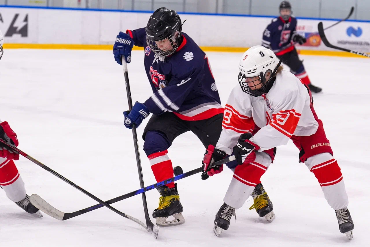 Фото: Деко Минералс - Московская академия хоккея (девочки) 2012