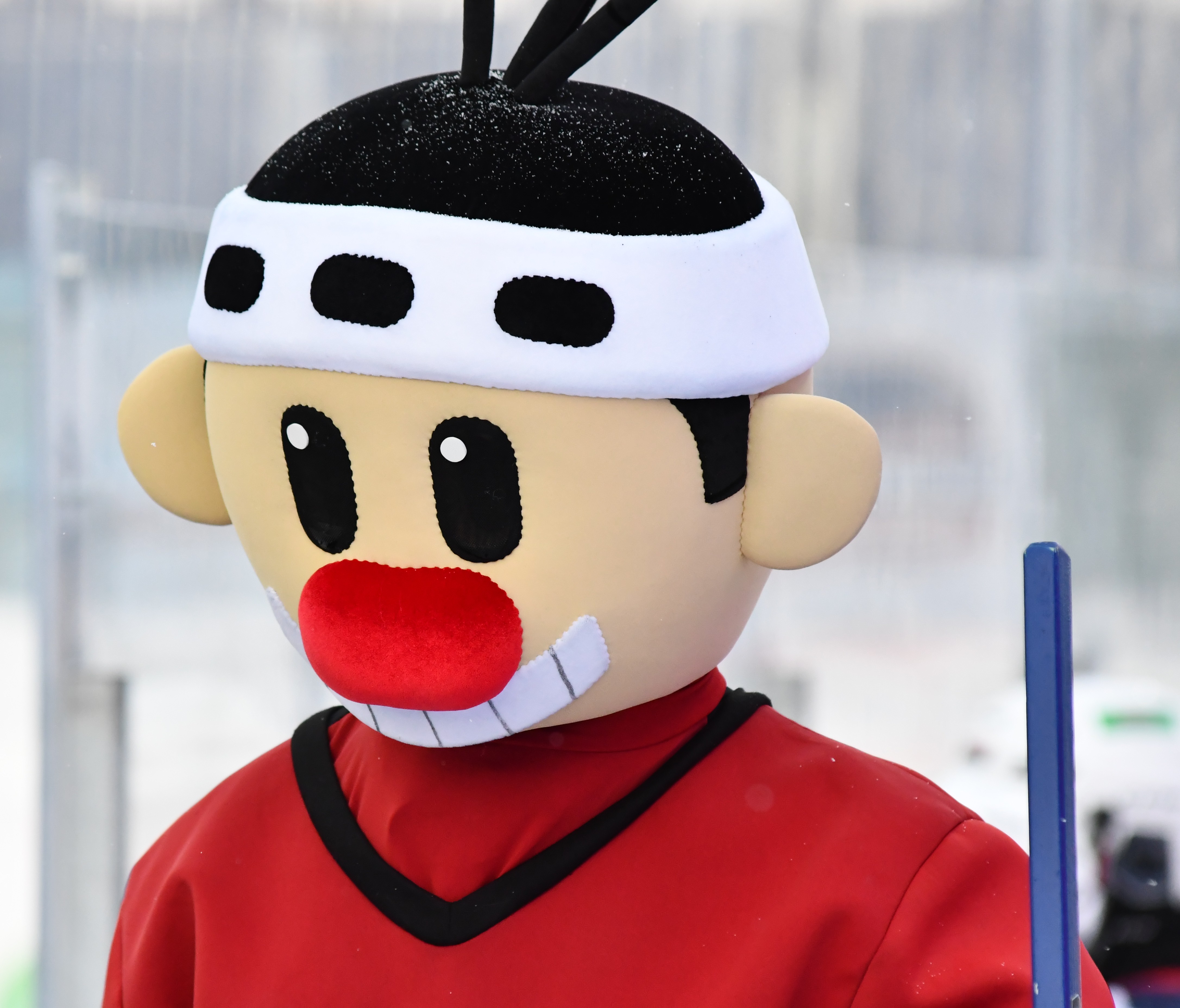 Фото: Северная звезда - Буран Москва 2016 Зимняя классика