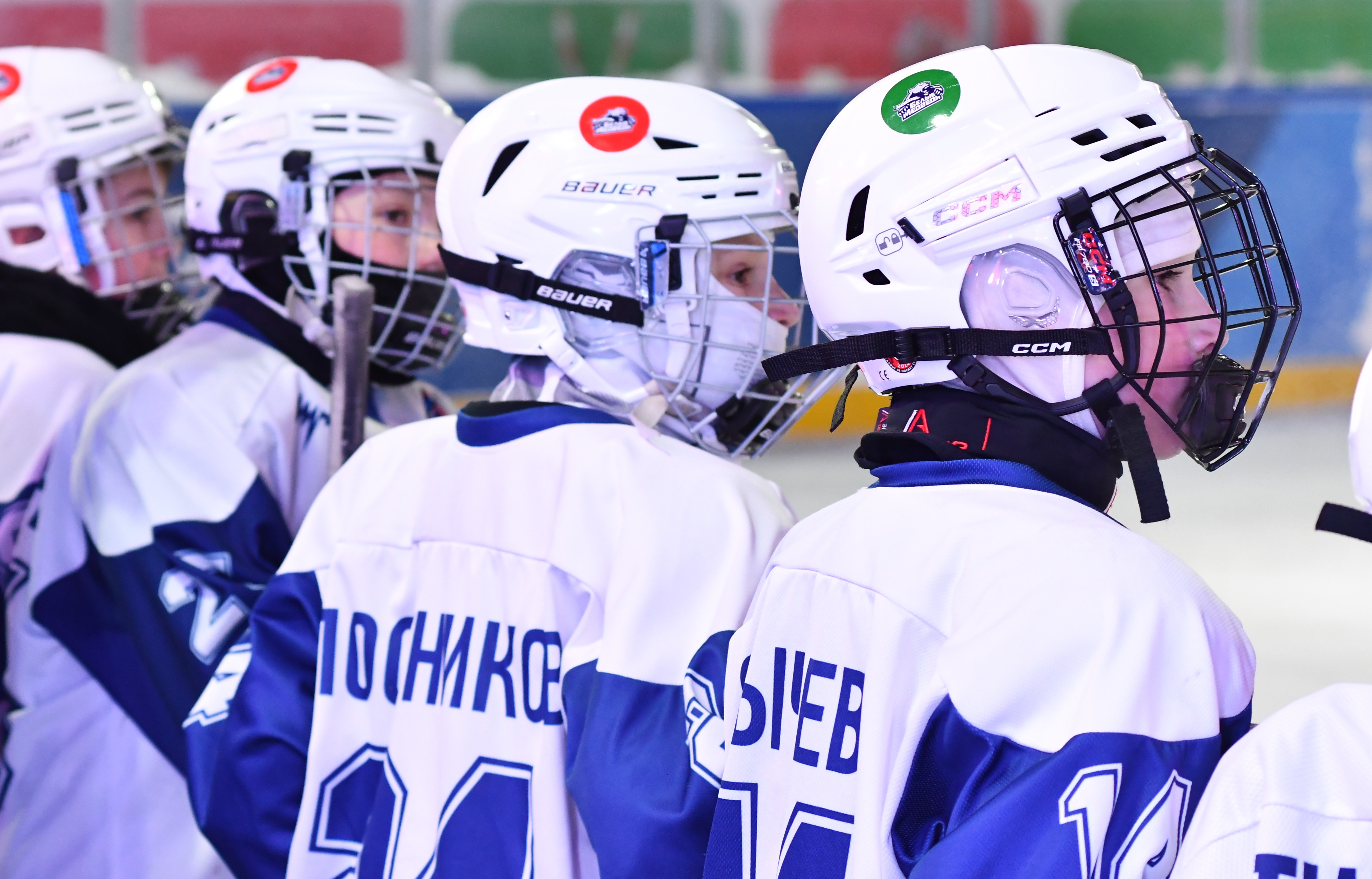 Фото: Гранит - Белые медведи 2016 Зимняя классика