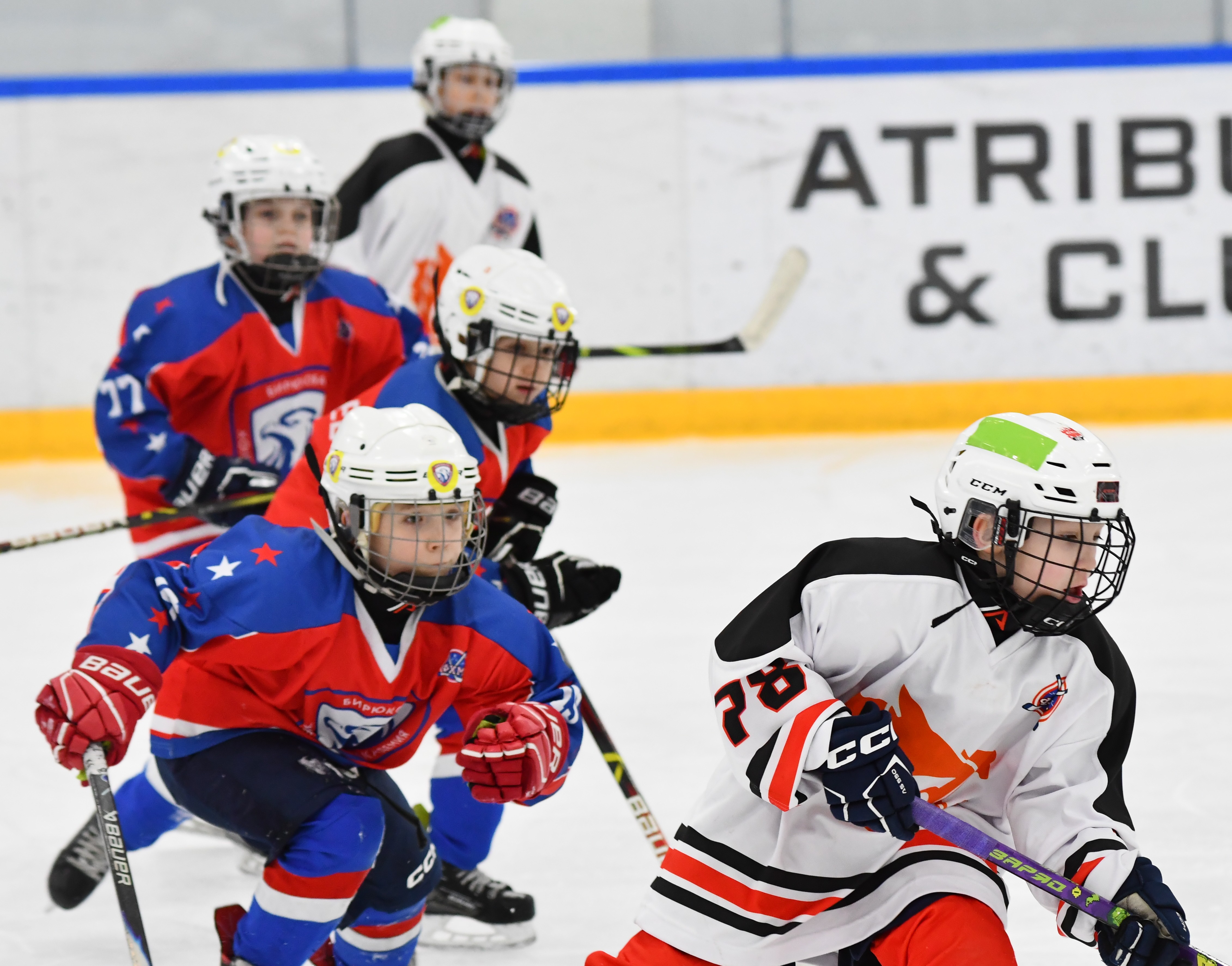 Фото: Первый день плей-офф второго этапа Кубка Москвы среди команд 2017 года рождения 