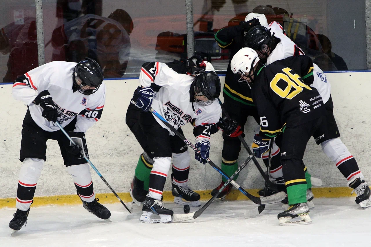 Фото: Северная звезда - Снежные барсы 2011