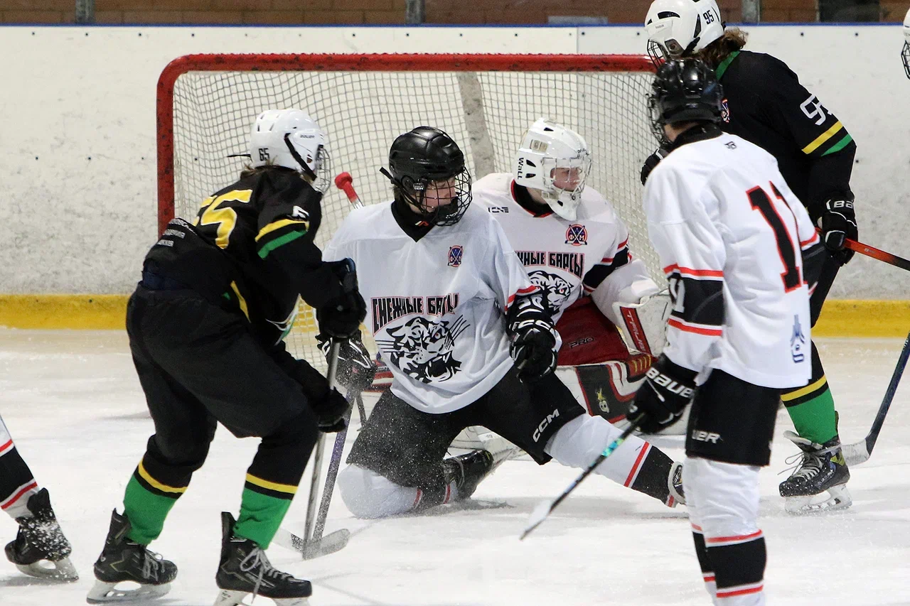 Фото: Северная звезда - Снежные барсы 2011