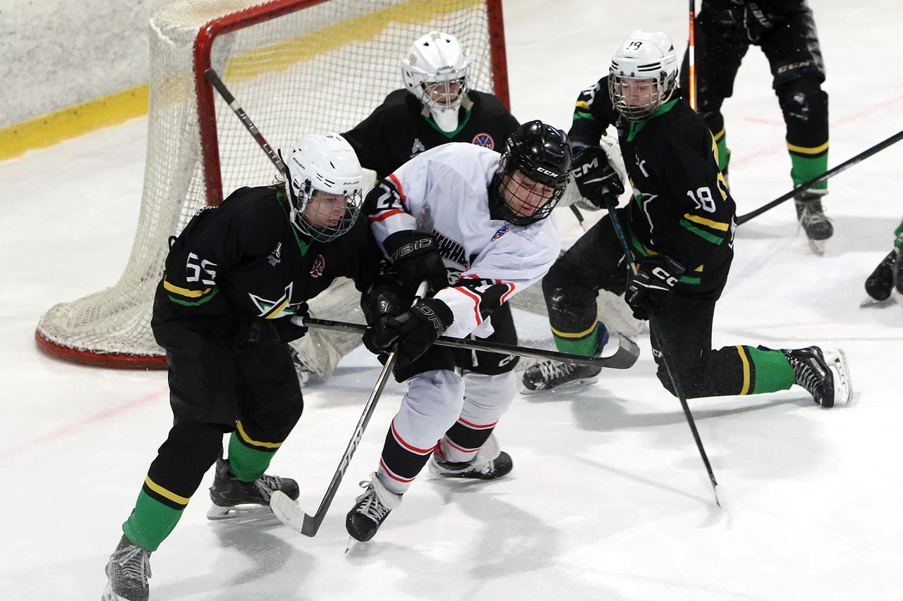 Фото: Северная звезда - Снежные барсы 2011