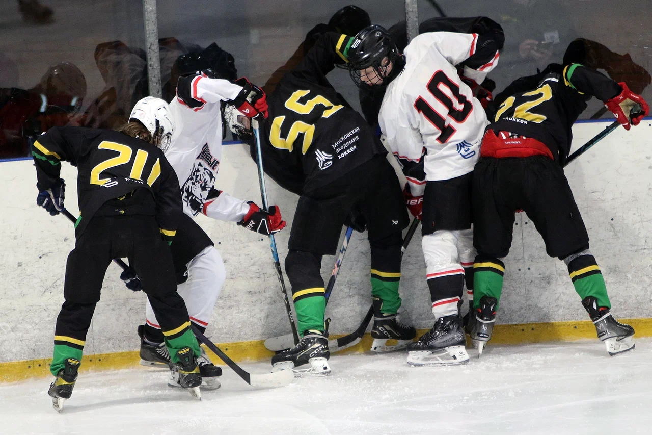 Фото: Северная звезда - Снежные барсы 2011