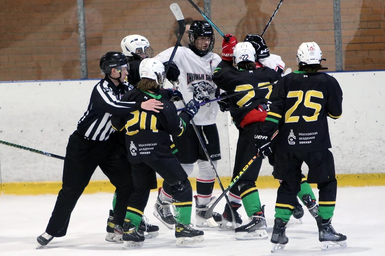 Фото: Северная звезда - Снежные барсы 2011