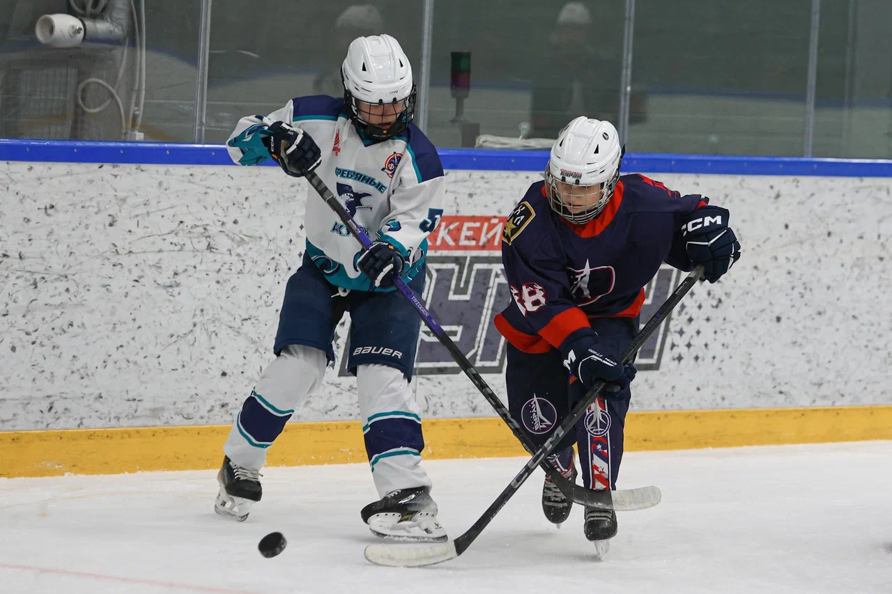 Фото: Буран - Серебряные акулы 2013