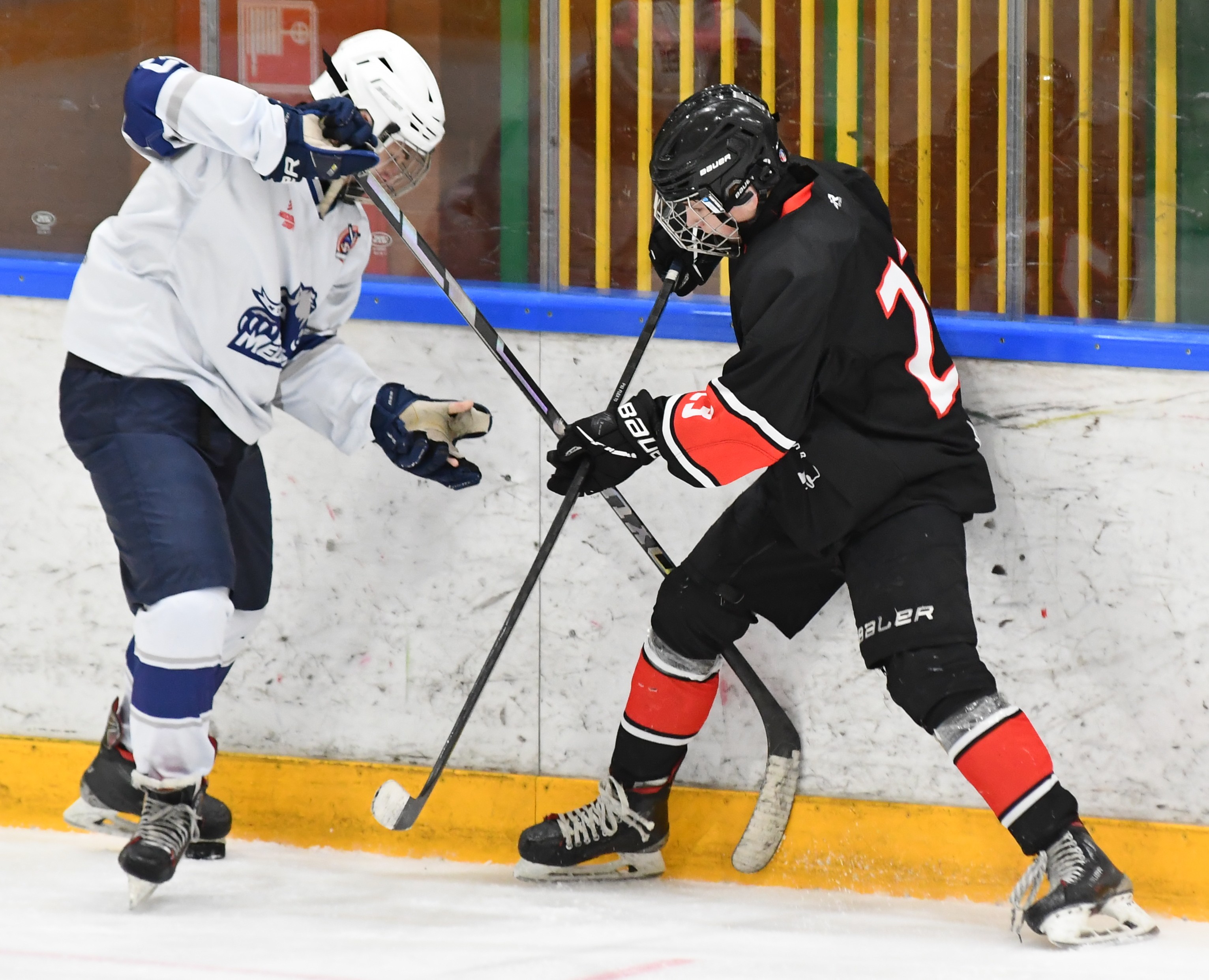 Фото: Снежные барсы - Белые медведи 2010, полуфинал