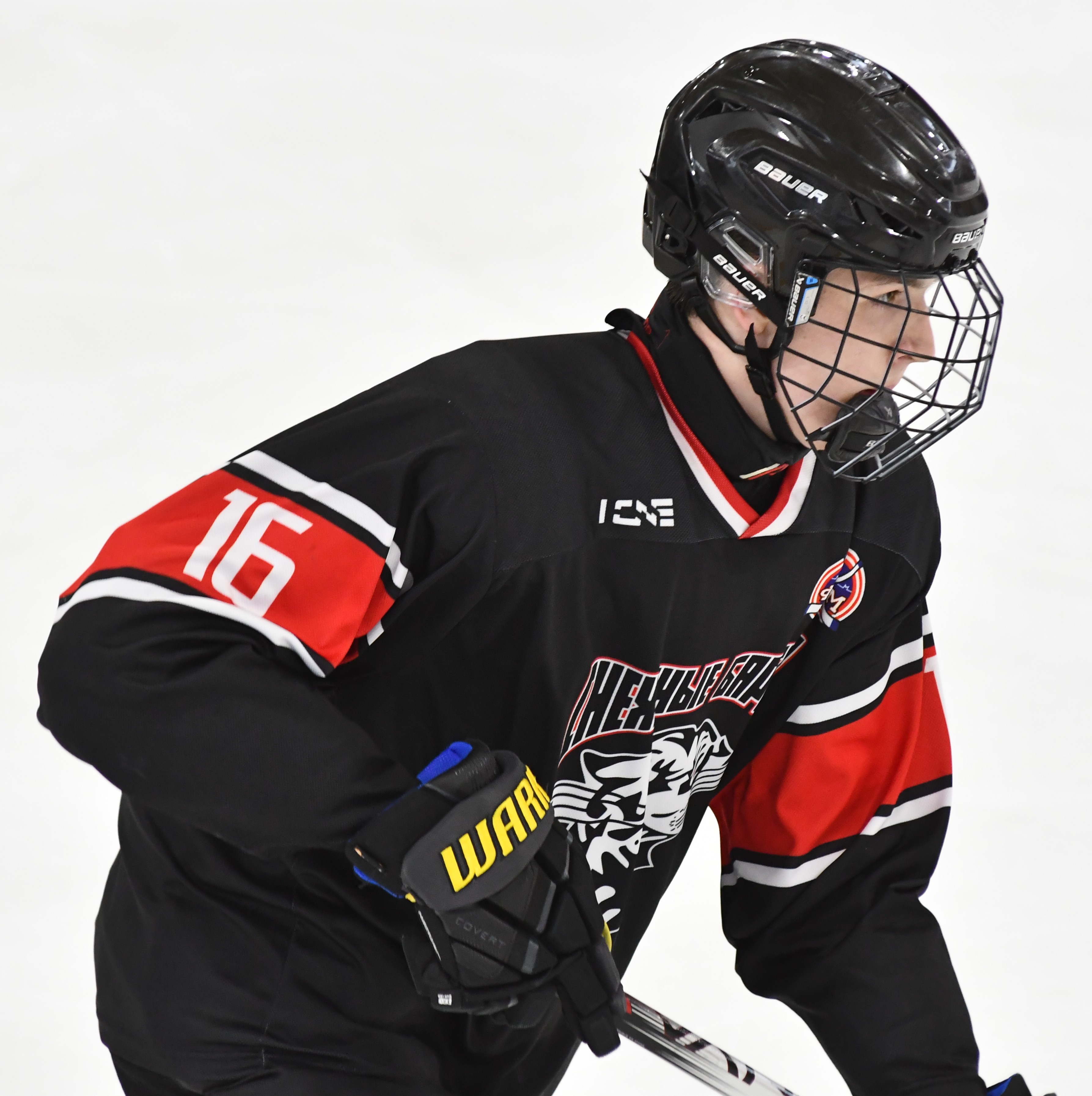 Фото: Снежные барсы - Белые медведи 2010, полуфинал