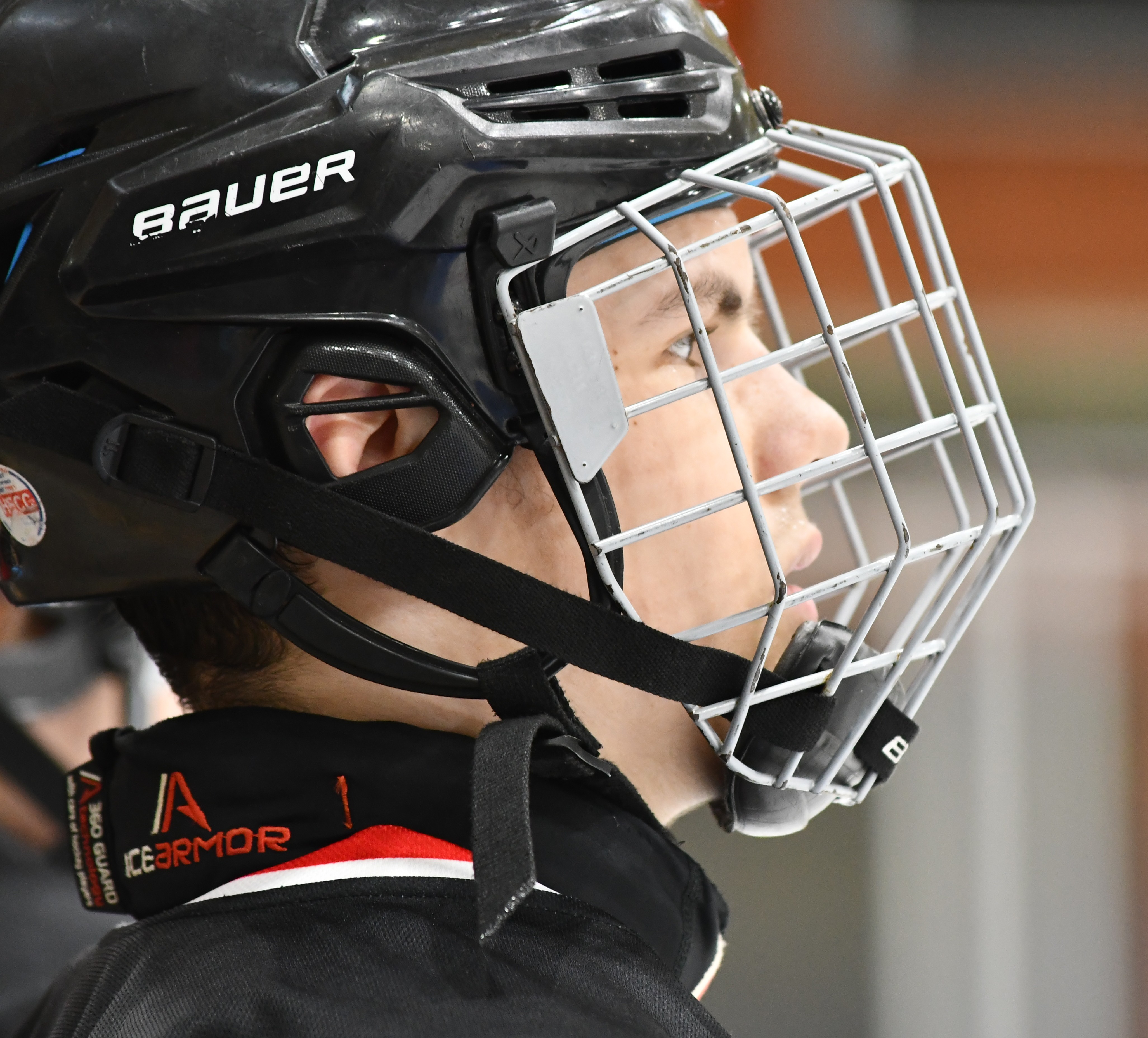 Фото: Снежные барсы - Белые медведи 2010, полуфинал