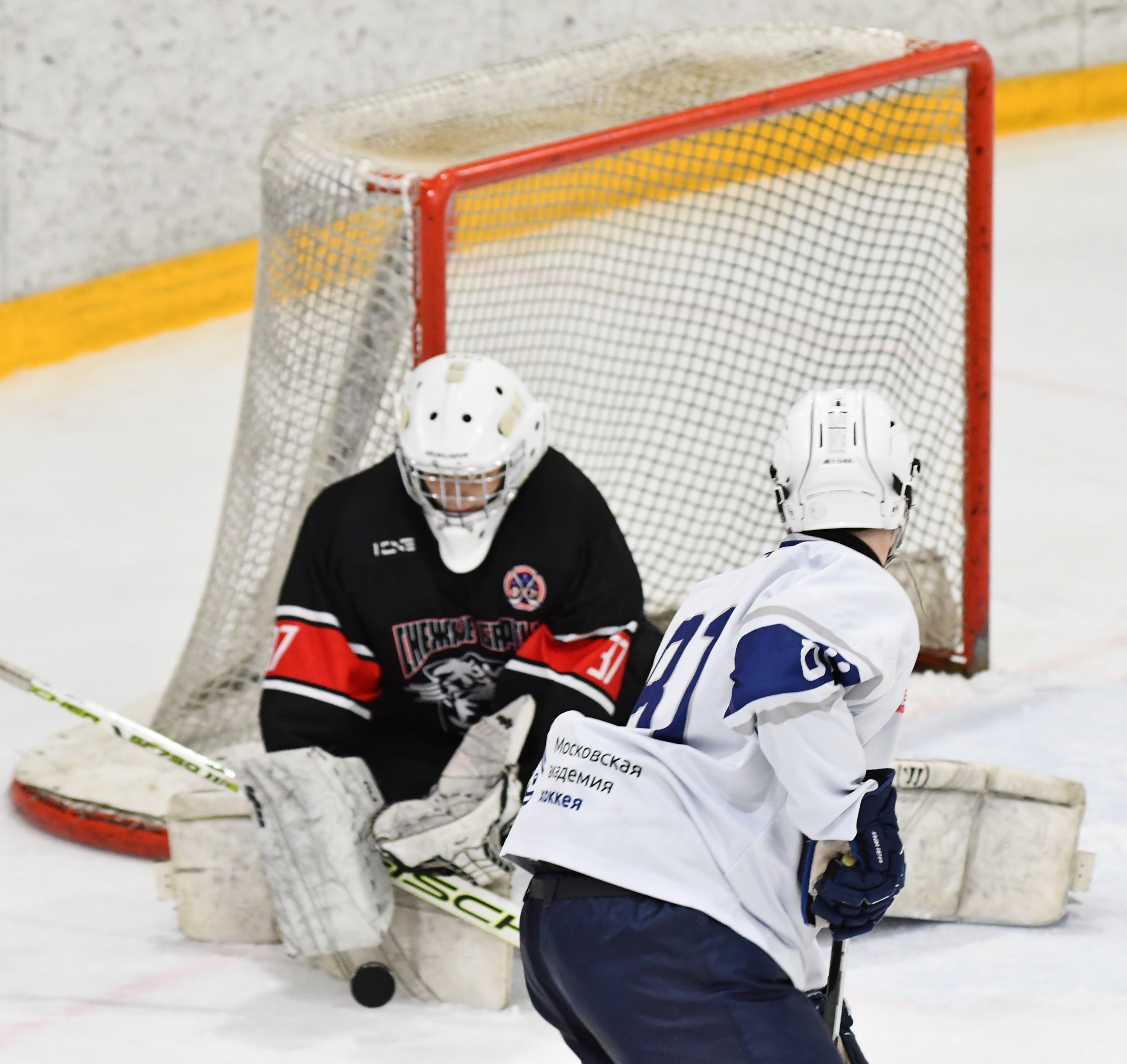 Фото: Снежные барсы - Белые медведи 2010, полуфинал