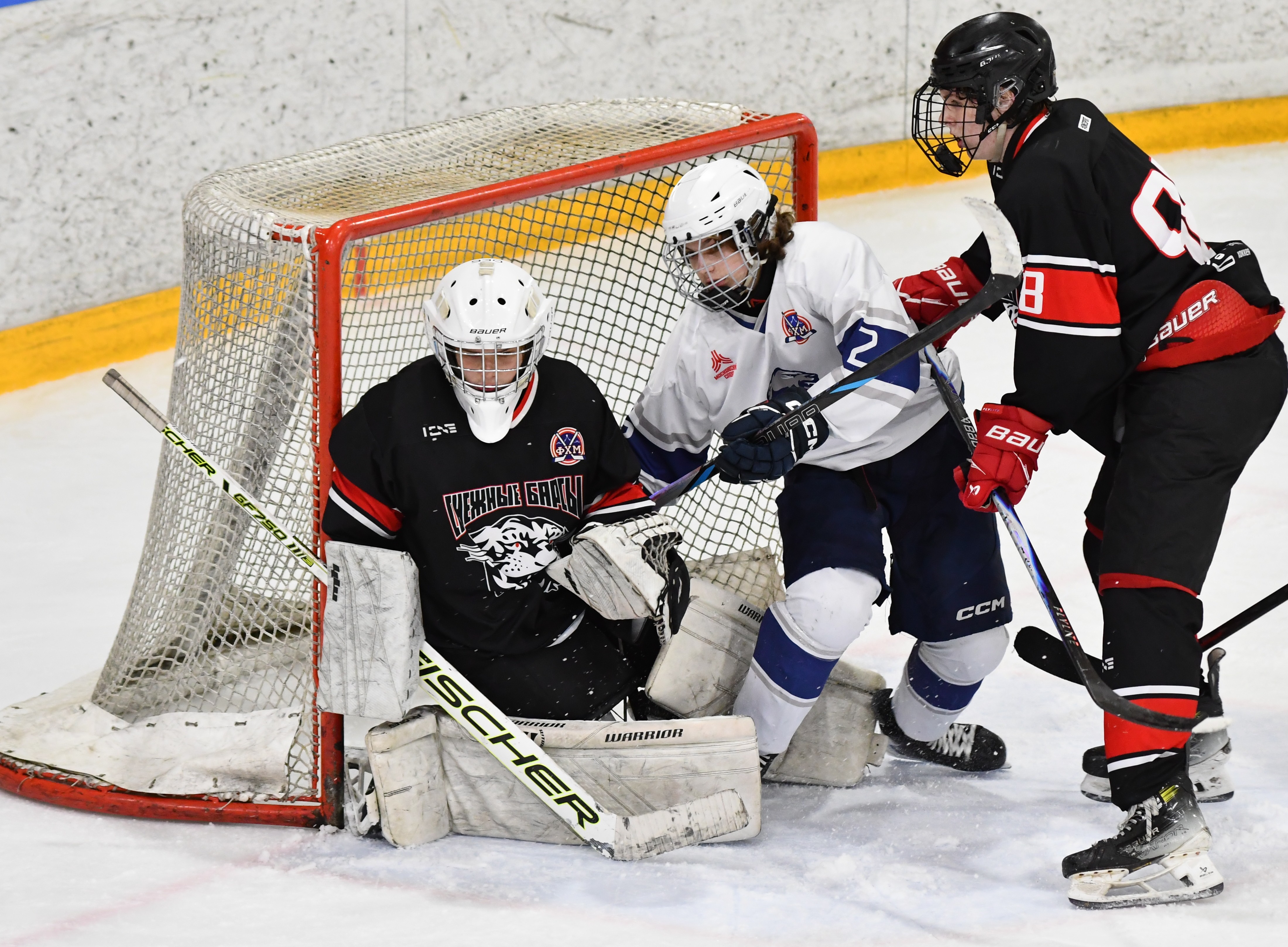 Фото: Снежные барсы - Белые медведи 2010, полуфинал