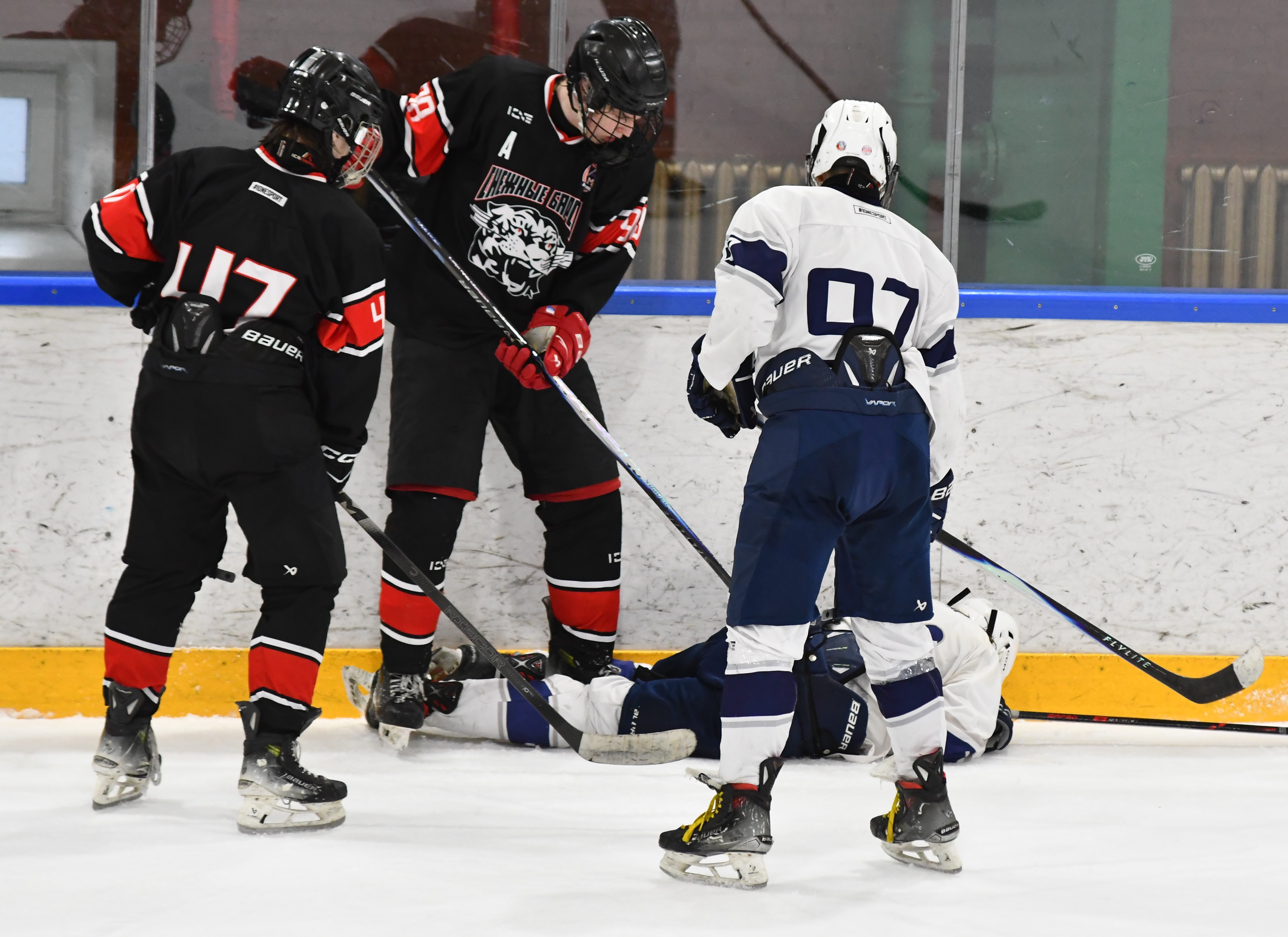 Фото: Снежные барсы - Белые медведи 2010, полуфинал