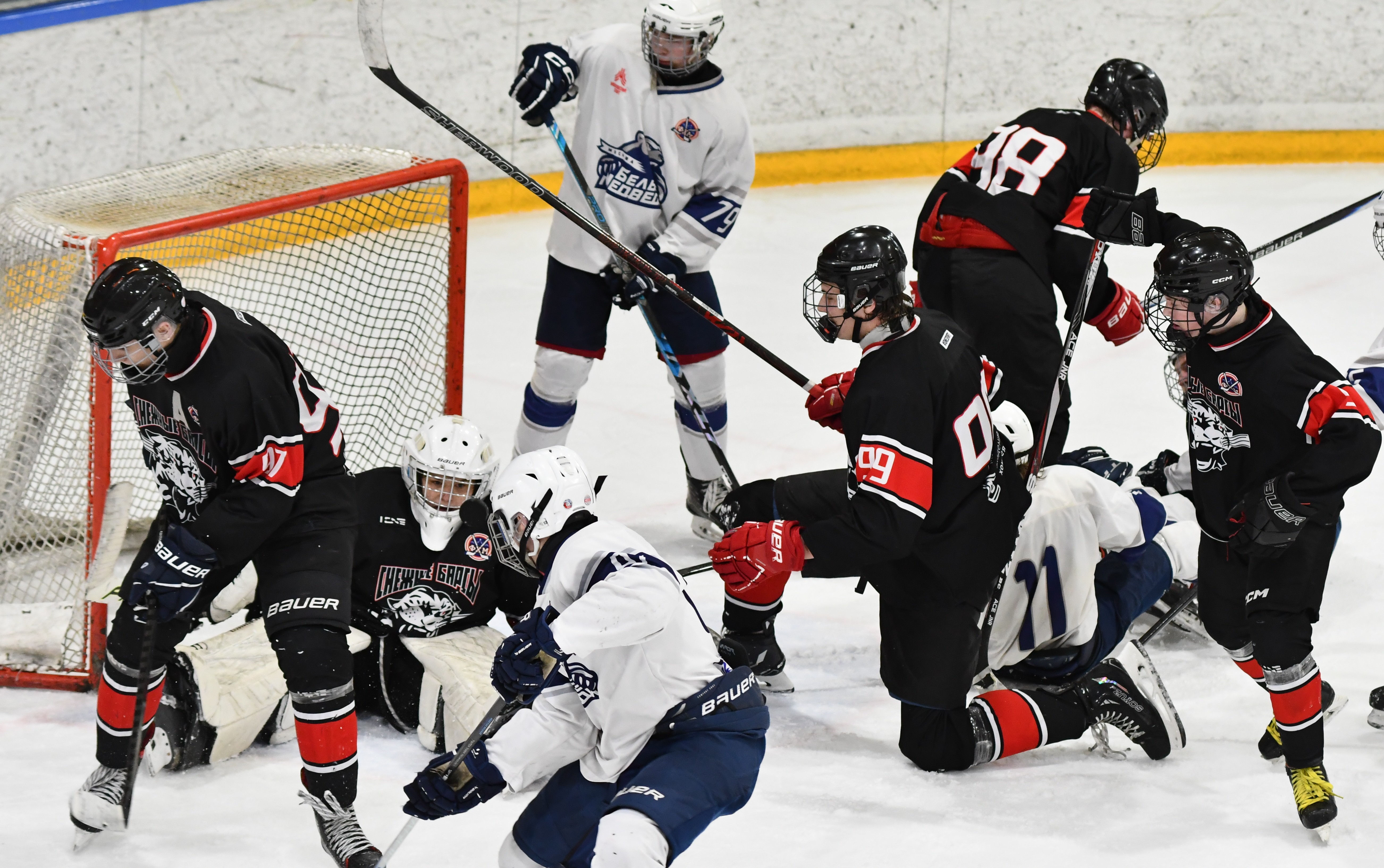 Фото: Снежные барсы - Белые медведи 2010, полуфинал