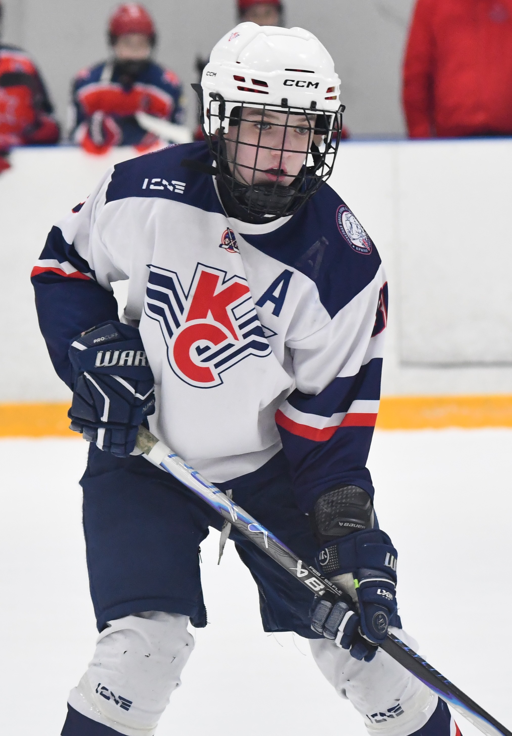 Фото: ЦСКА - Крылья Советов 2014, третий матч полуфинала плей-офф