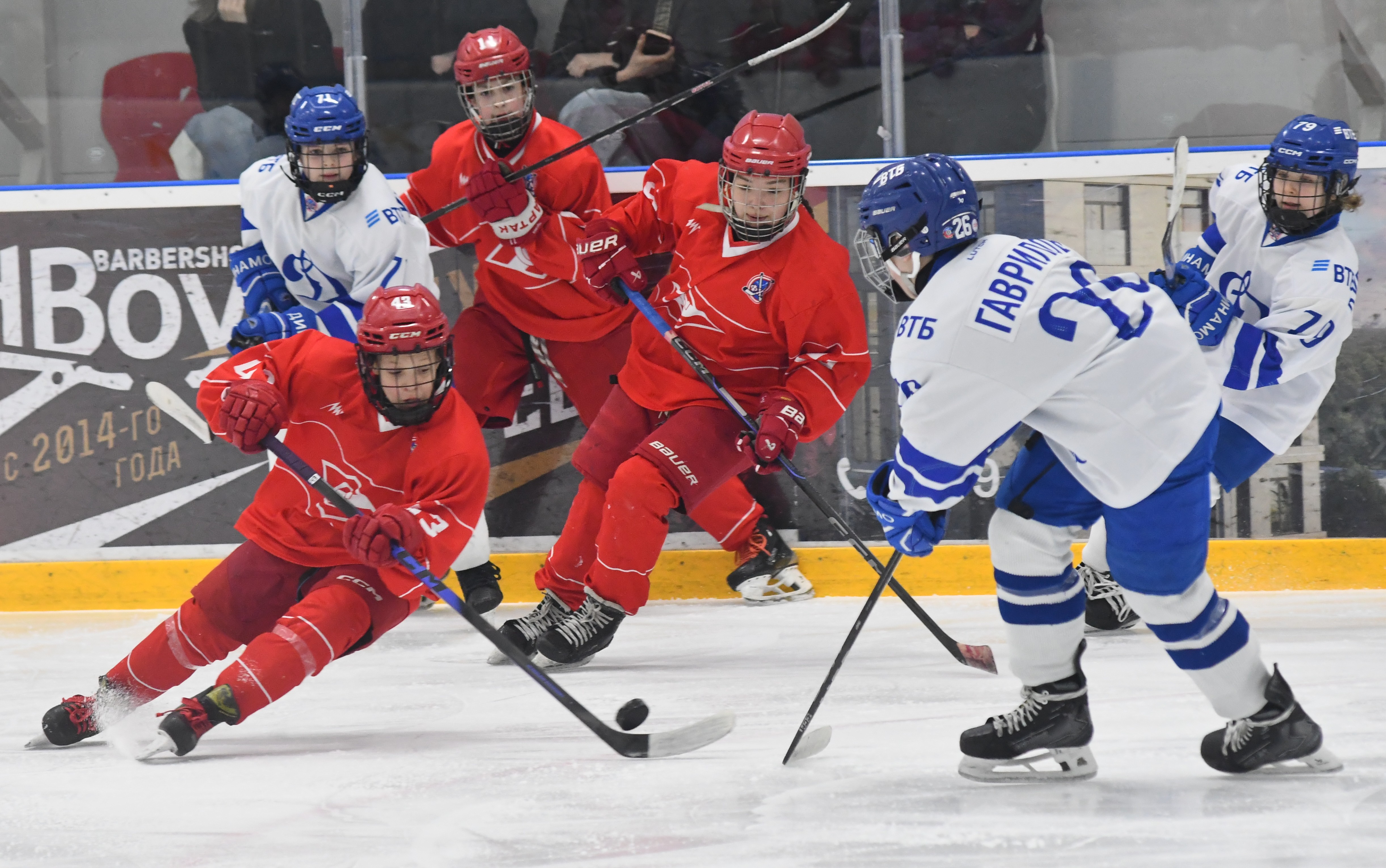 Фото: Спартак-Динамо 2014, третий матч полуфинал плей-офф