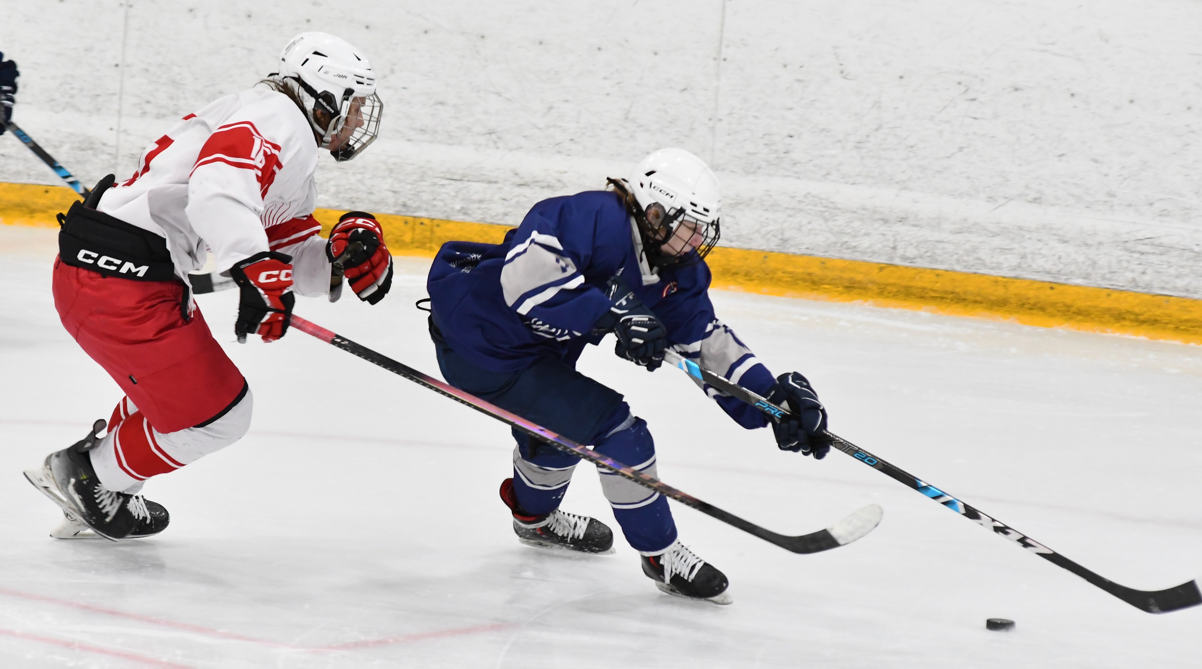 Фото: Белые медведи - Янтарь 2010, второй финальный матч плей-офф