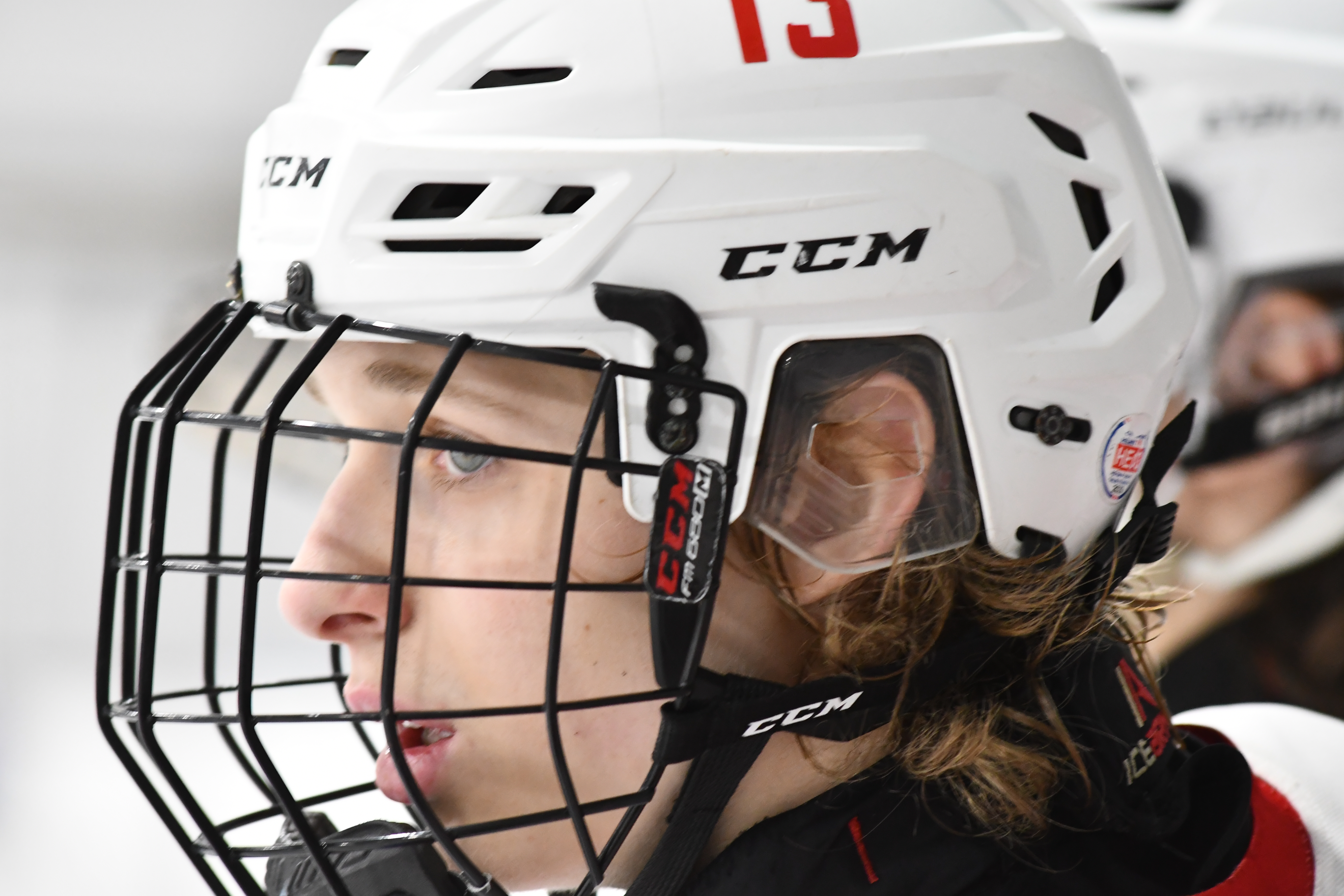 Фото: Белые медведи - Янтарь 2010, второй финальный матч плей-офф