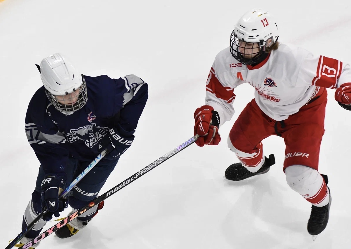Фото: Белые медведи - Янтарь 2010, четвертый финальный матч плей-офф 