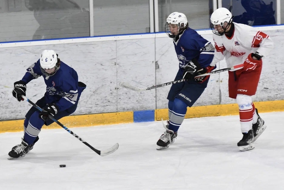 Фото: Белые медведи - Янтарь 2010, четвертый финальный матч плей-офф 