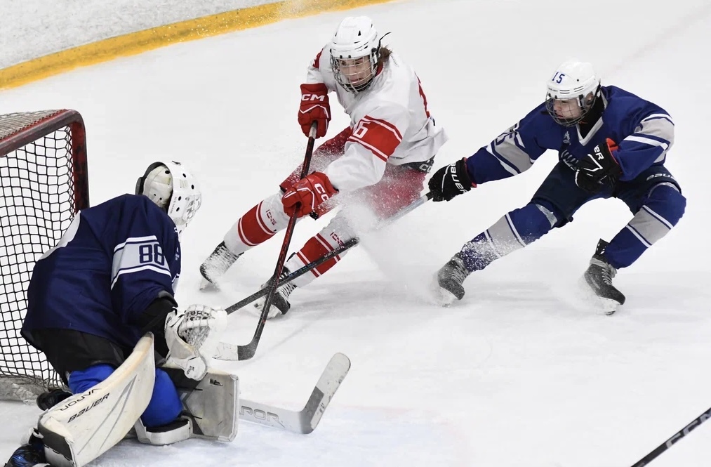 Фото: Белые медведи - Янтарь 2010, четвертый финальный матч плей-офф 