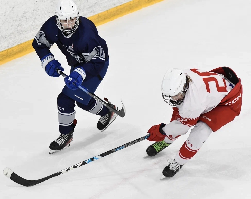 Фото: Белые медведи - Янтарь 2010, четвертый финальный матч плей-офф 