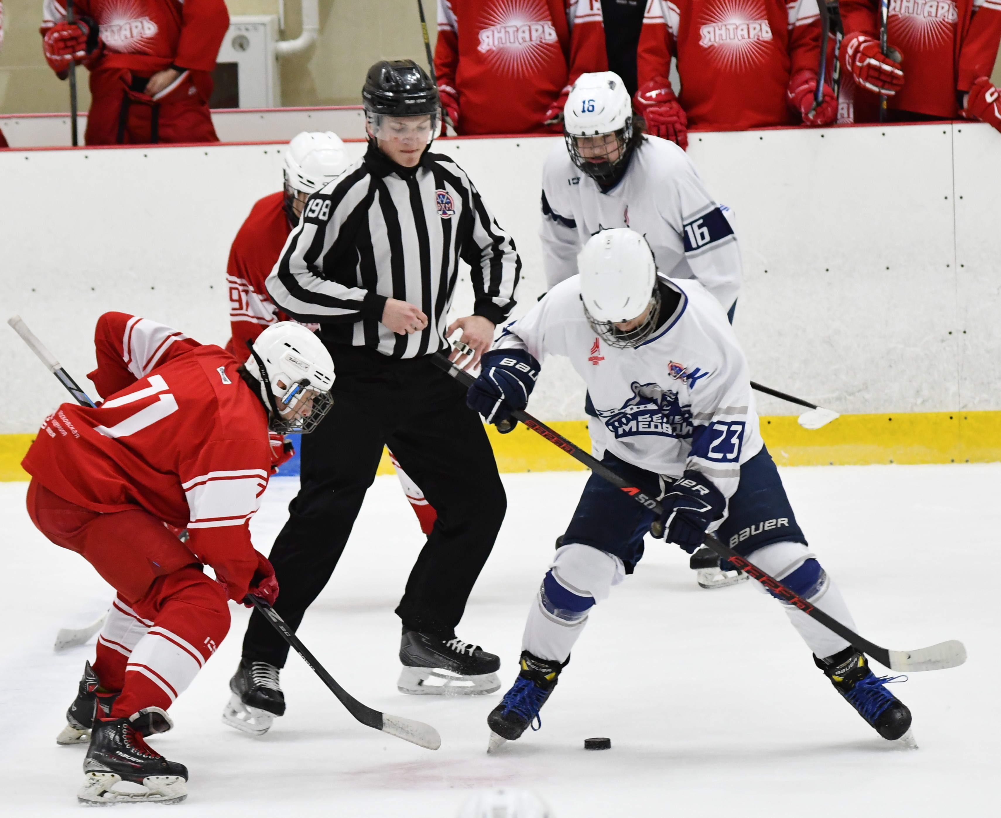 Фото: Янтарь - Белые медведи 2010, пятый матч финала плей-офф