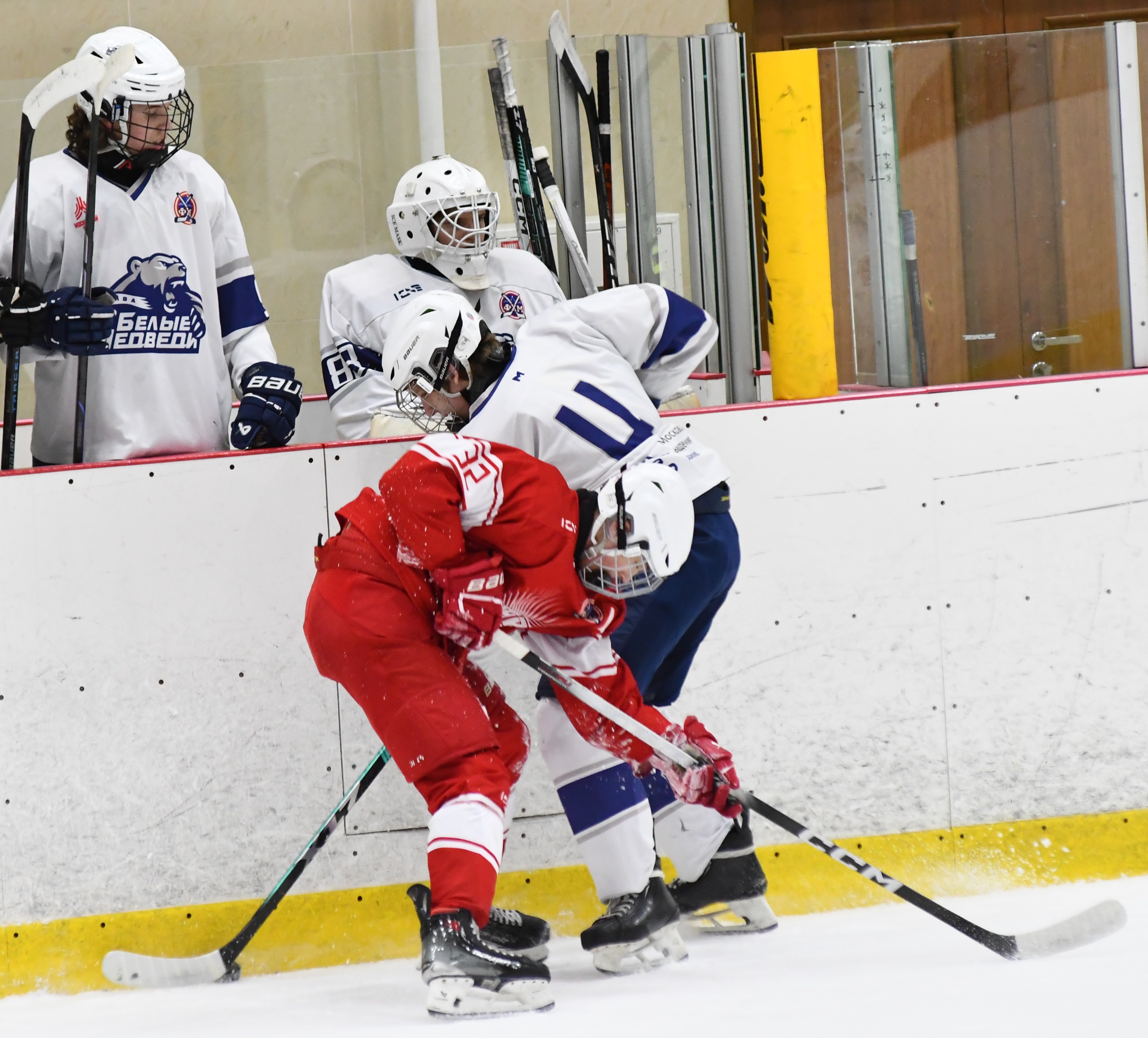Фото: Янтарь - Белые медведи 2010, пятый матч финала плей-офф