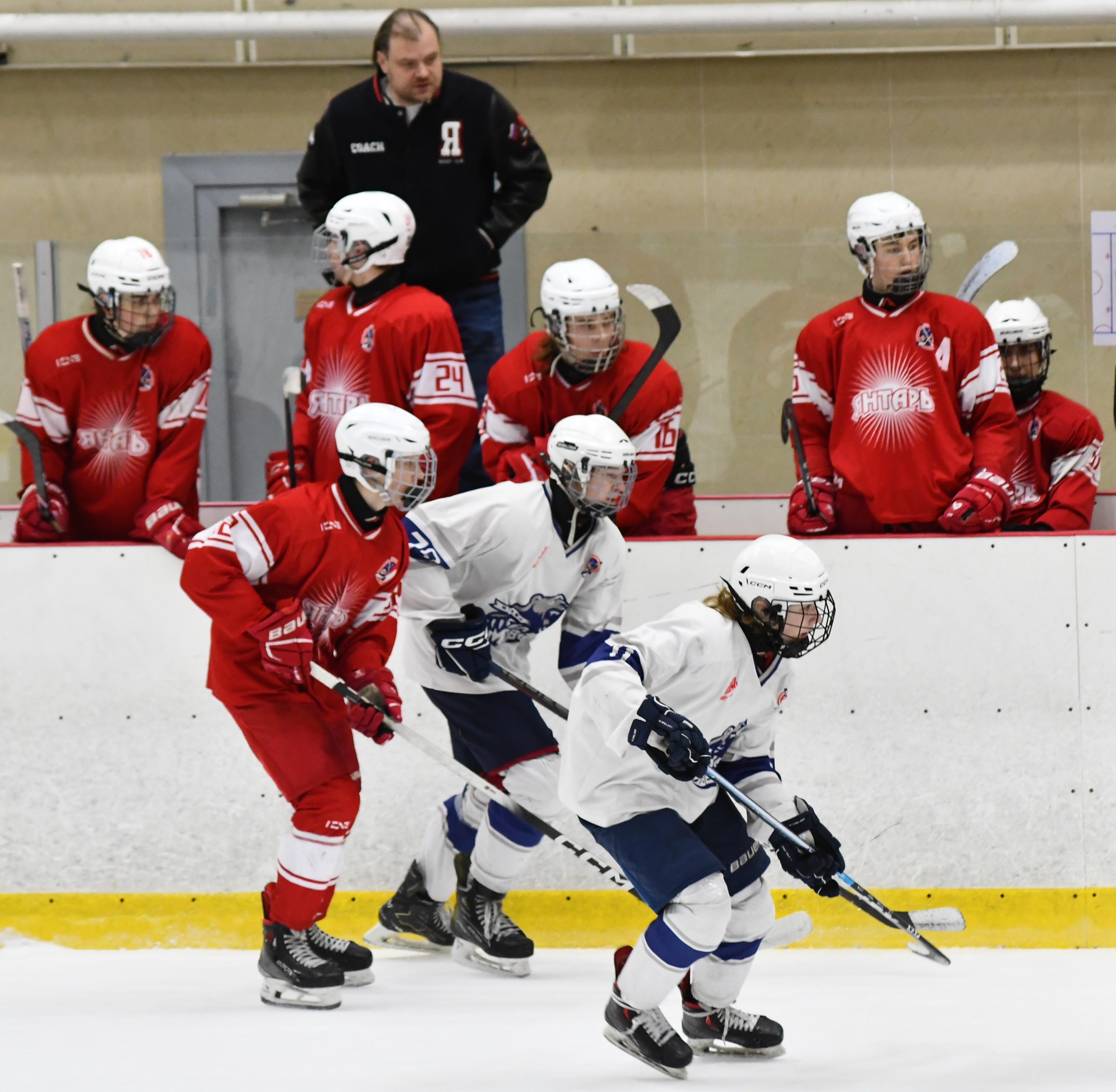 Фото: Янтарь - Белые медведи 2010, пятый матч финала плей-офф