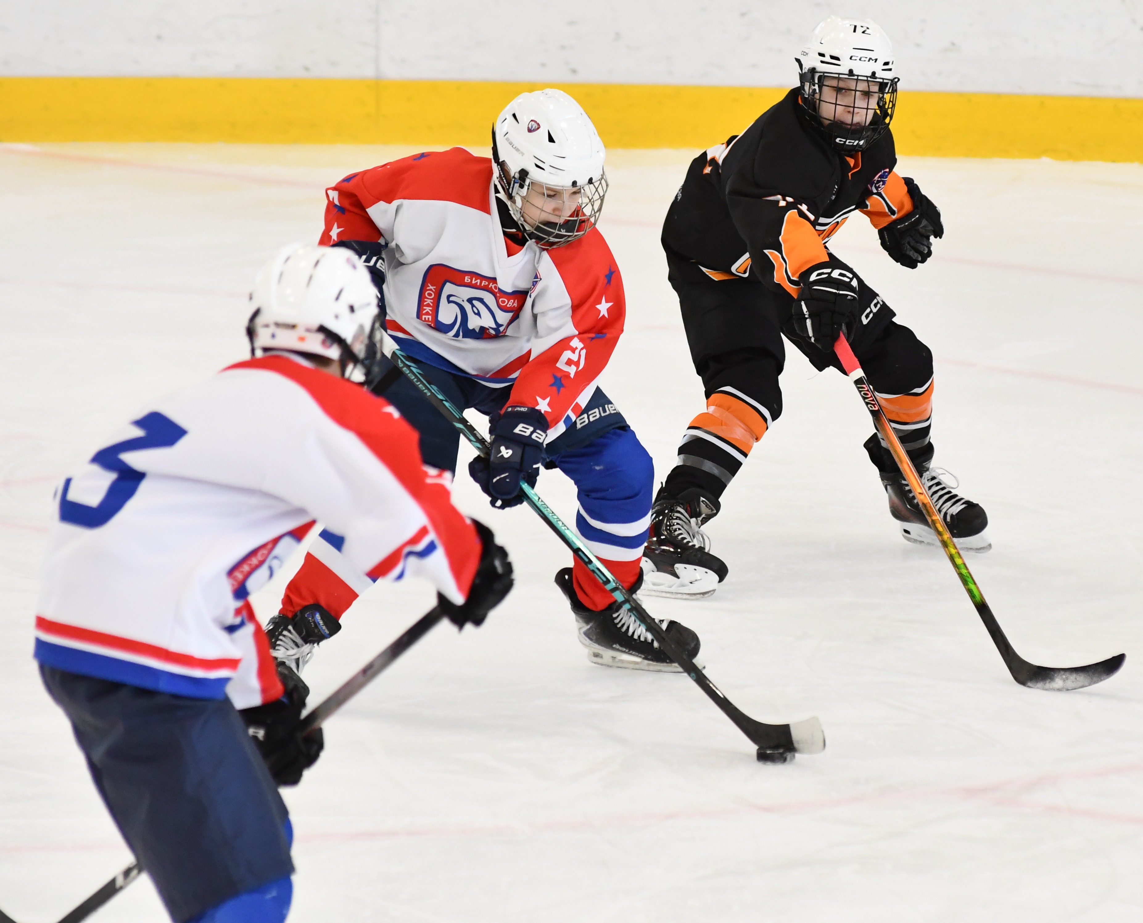 Фото: Метеор - Академия Бирюкова 2013, переходные матчи