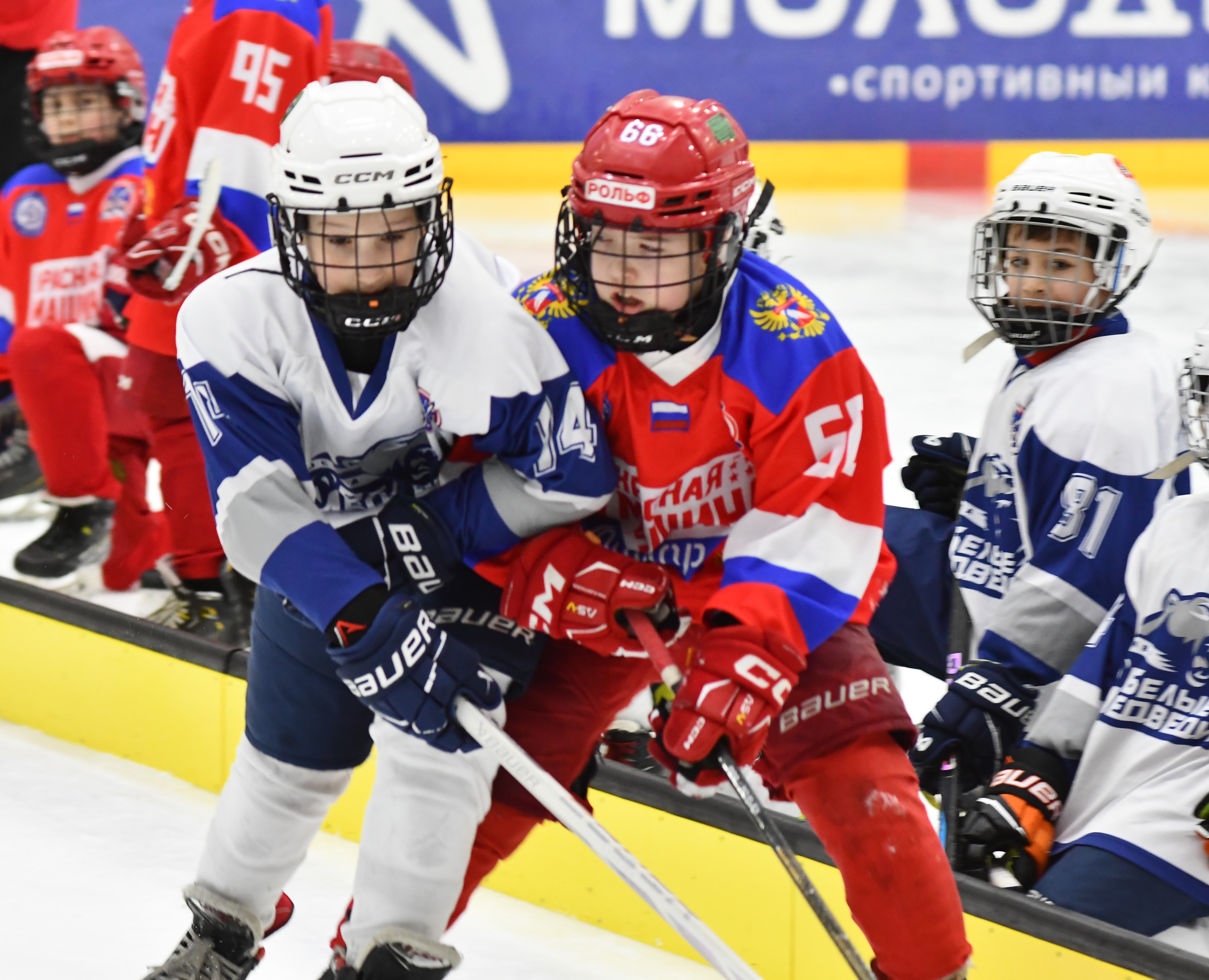 Фото: Красная Машина Юниор - Белые медведи 2016, переходный матч