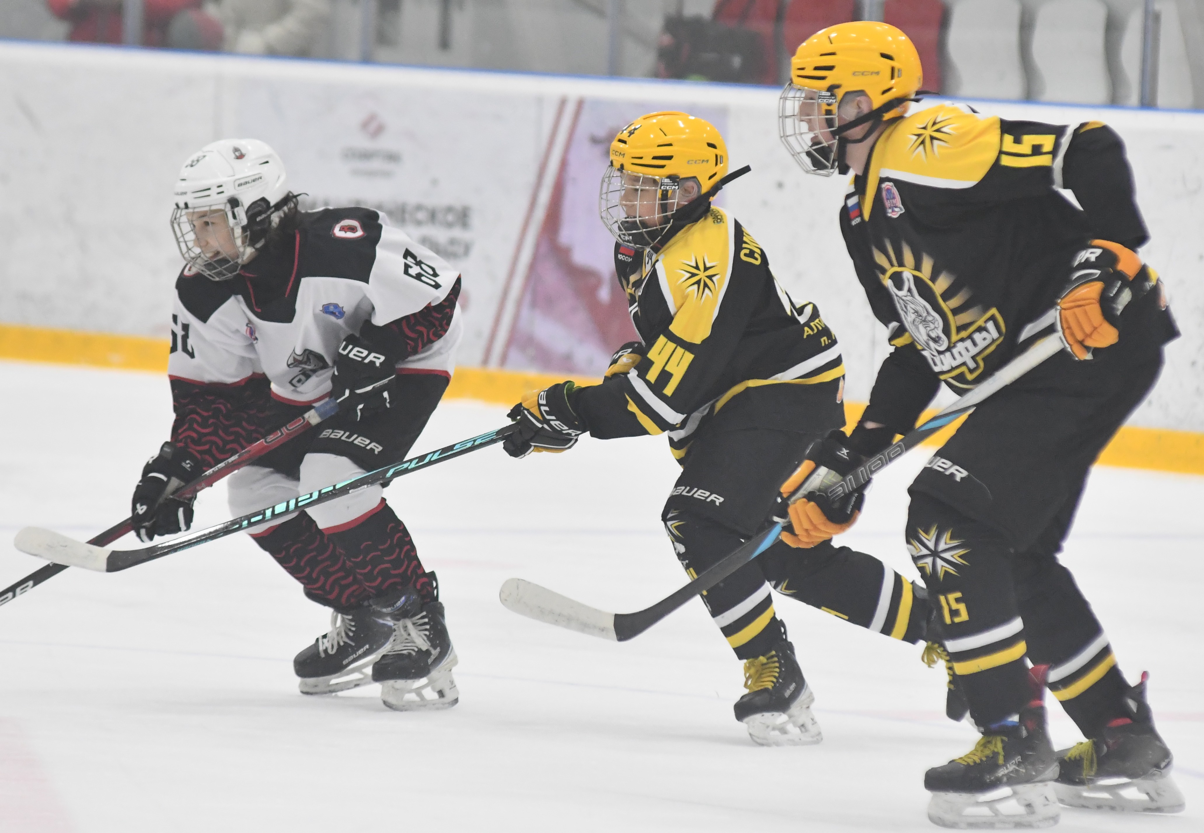 Фото: ХК Скифы - Витязь (Подольск) 2013, переходный матч