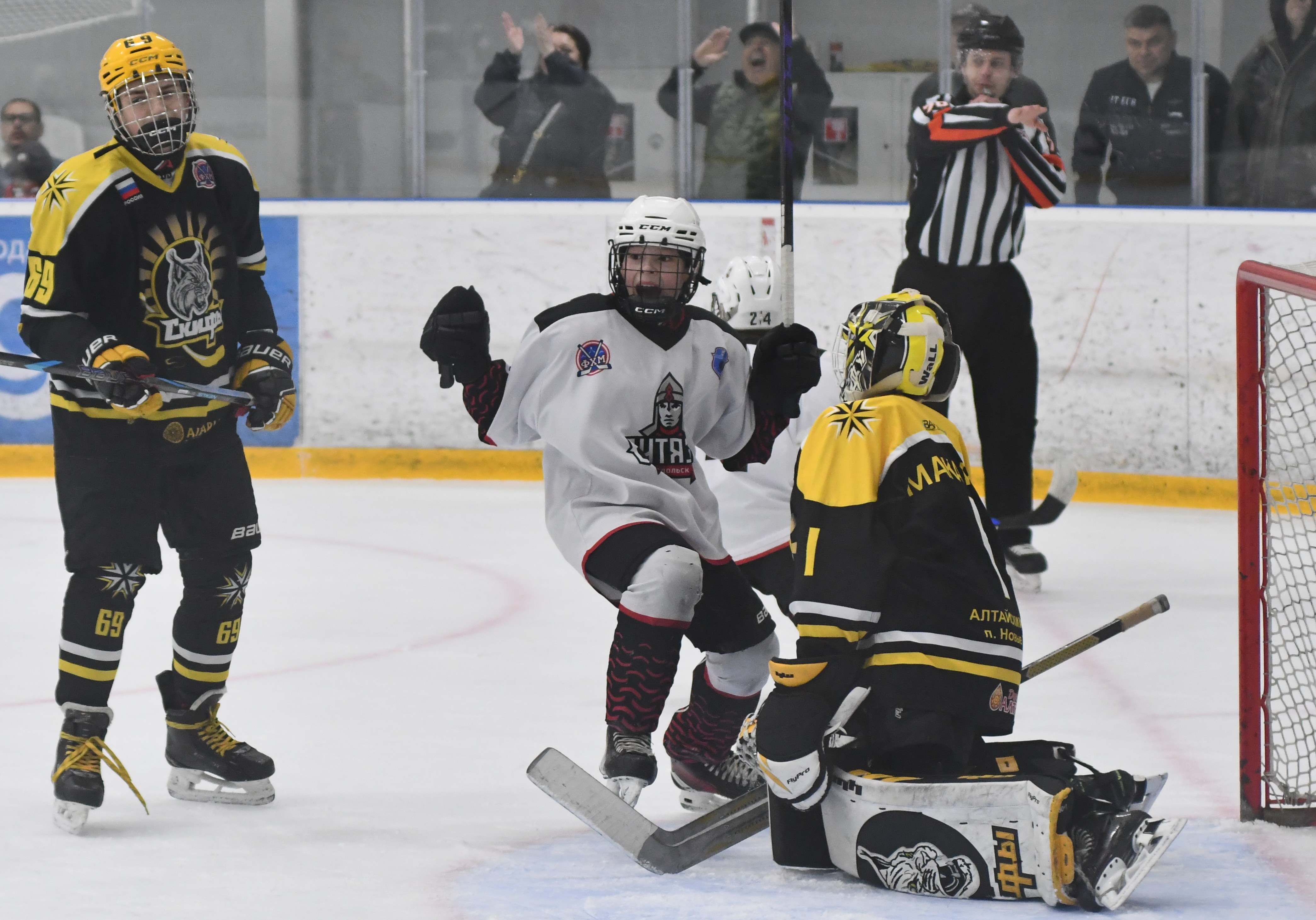 Фото: ХК Скифы - Витязь (Подольск) 2013, переходный матч