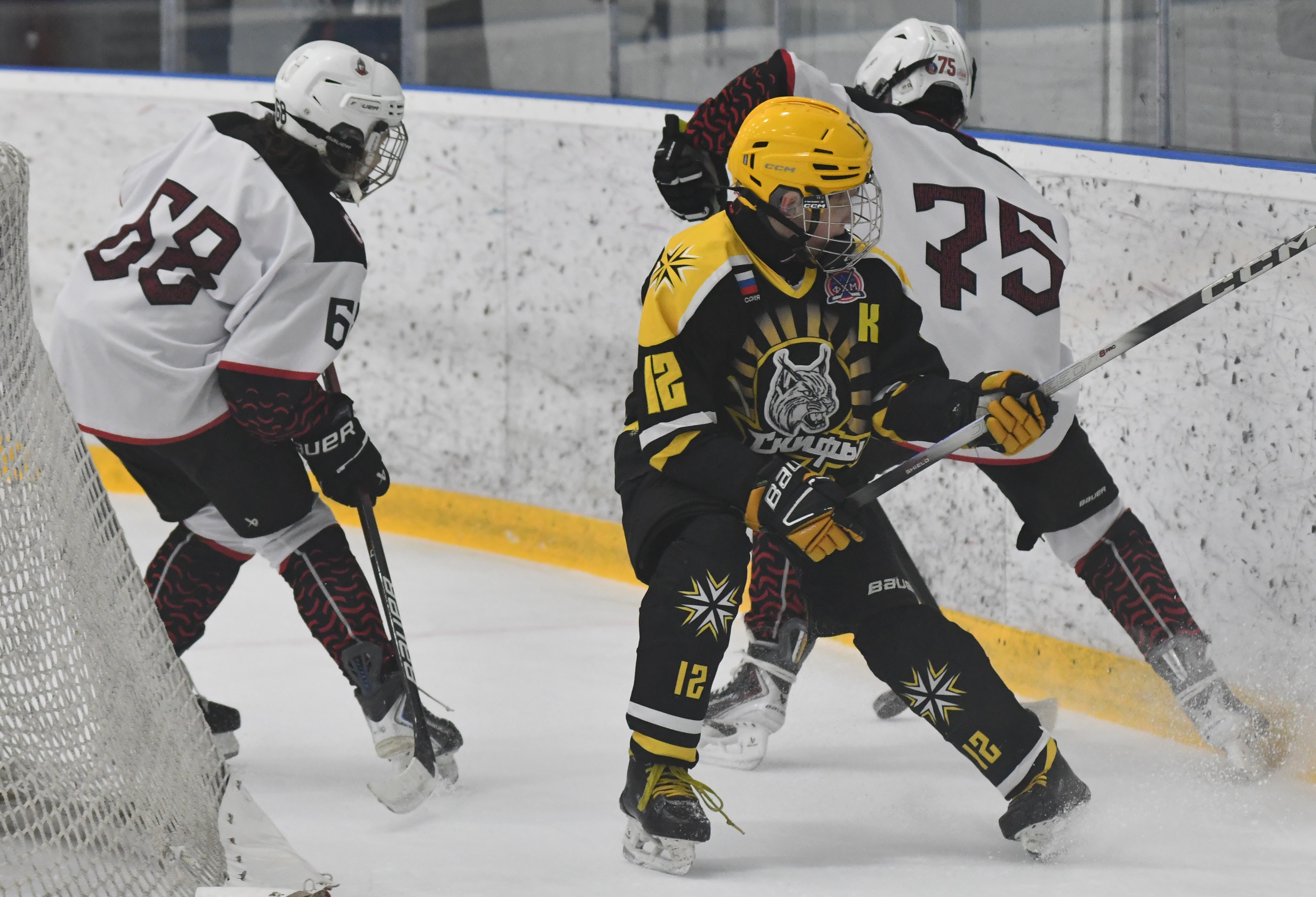 Фото: ХК Скифы - Витязь (Подольск) 2013, переходный матч