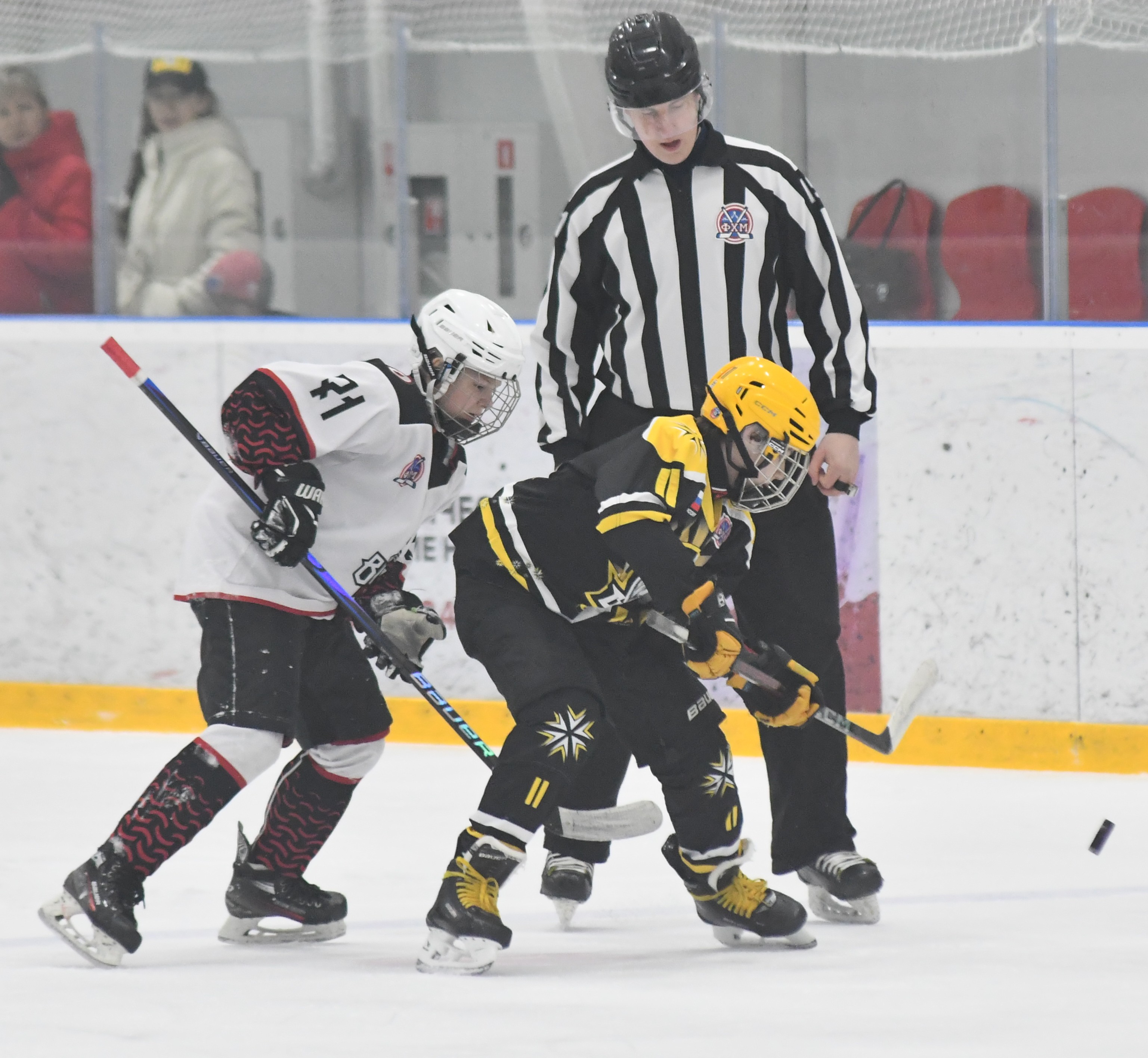 Фото: ХК Скифы - Витязь (Подольск) 2013, переходный матч