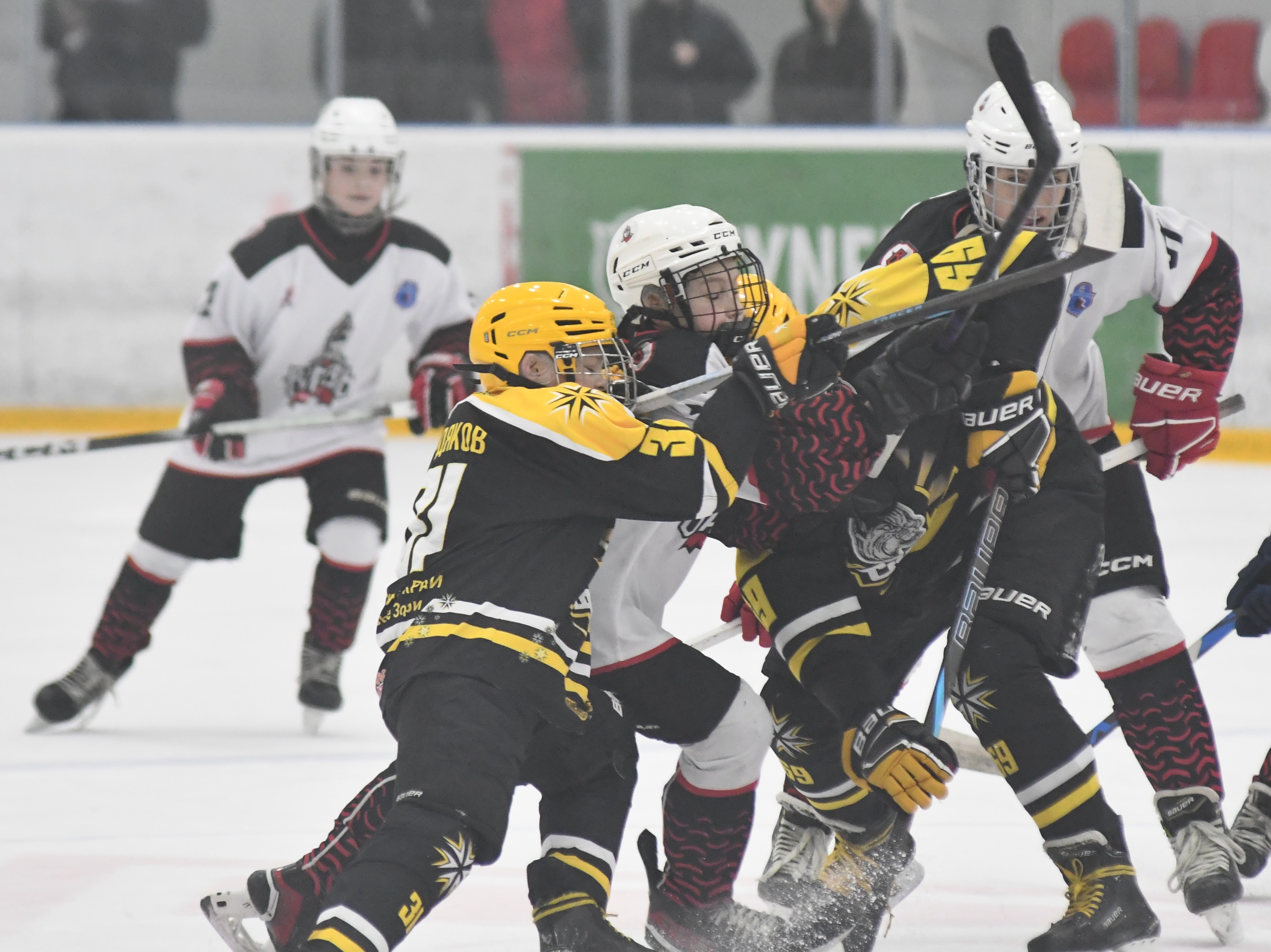 Фото: ХК Скифы - Витязь (Подольск) 2013, переходный матч