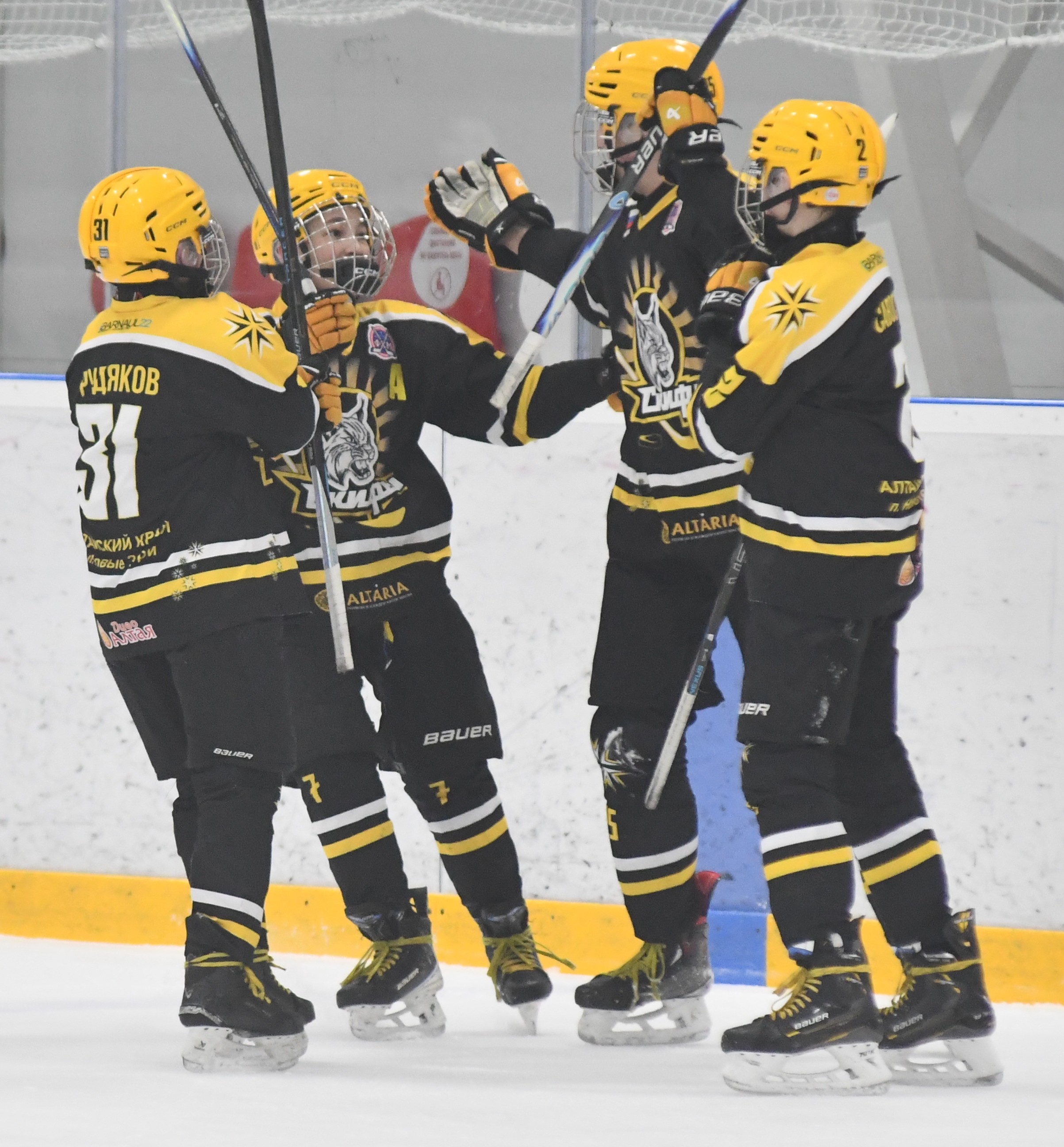 Фото: ХК Скифы - Витязь (Подольск) 2013, переходный матч