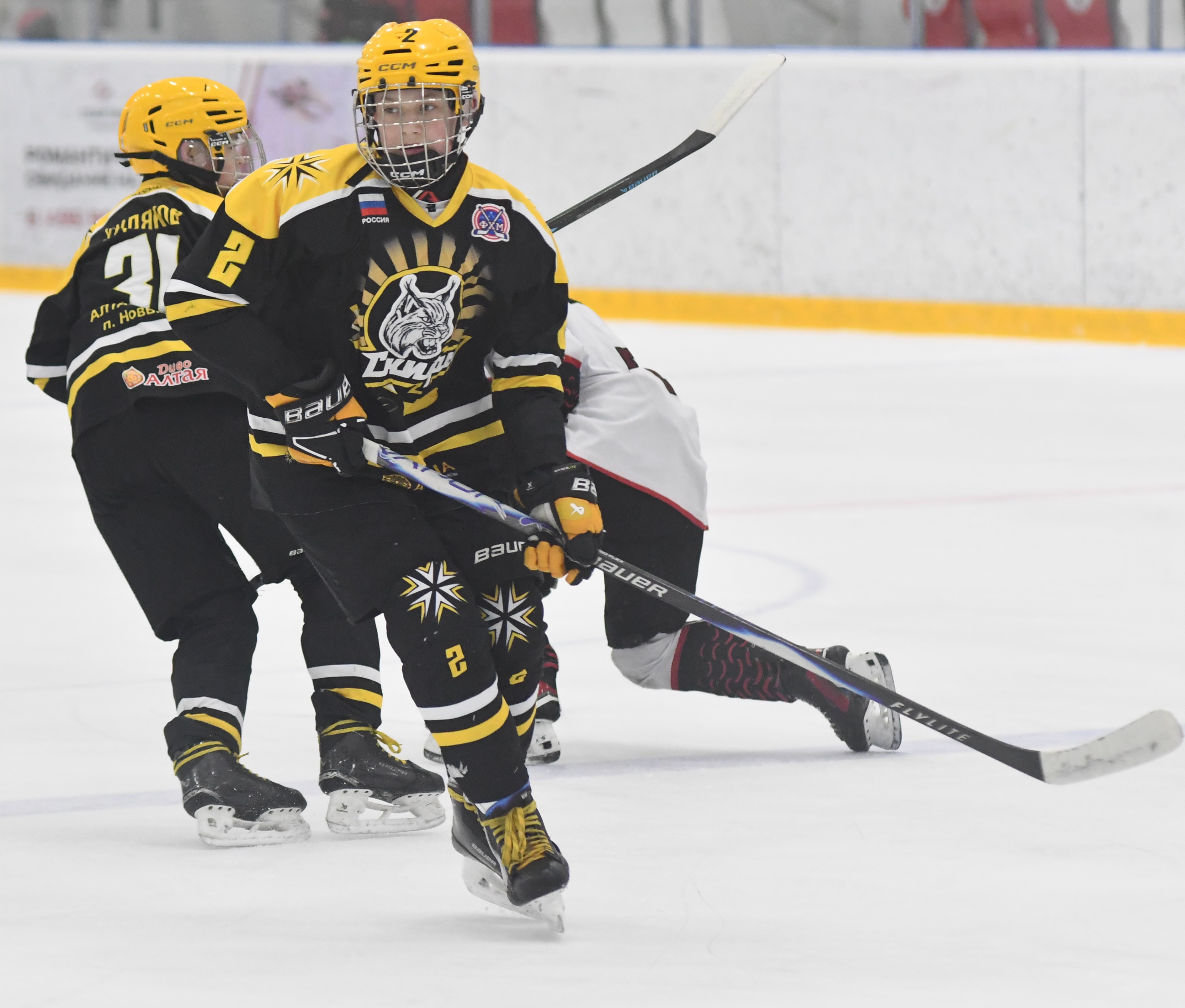 Фото: ХК Скифы - Витязь (Подольск) 2013, переходный матч