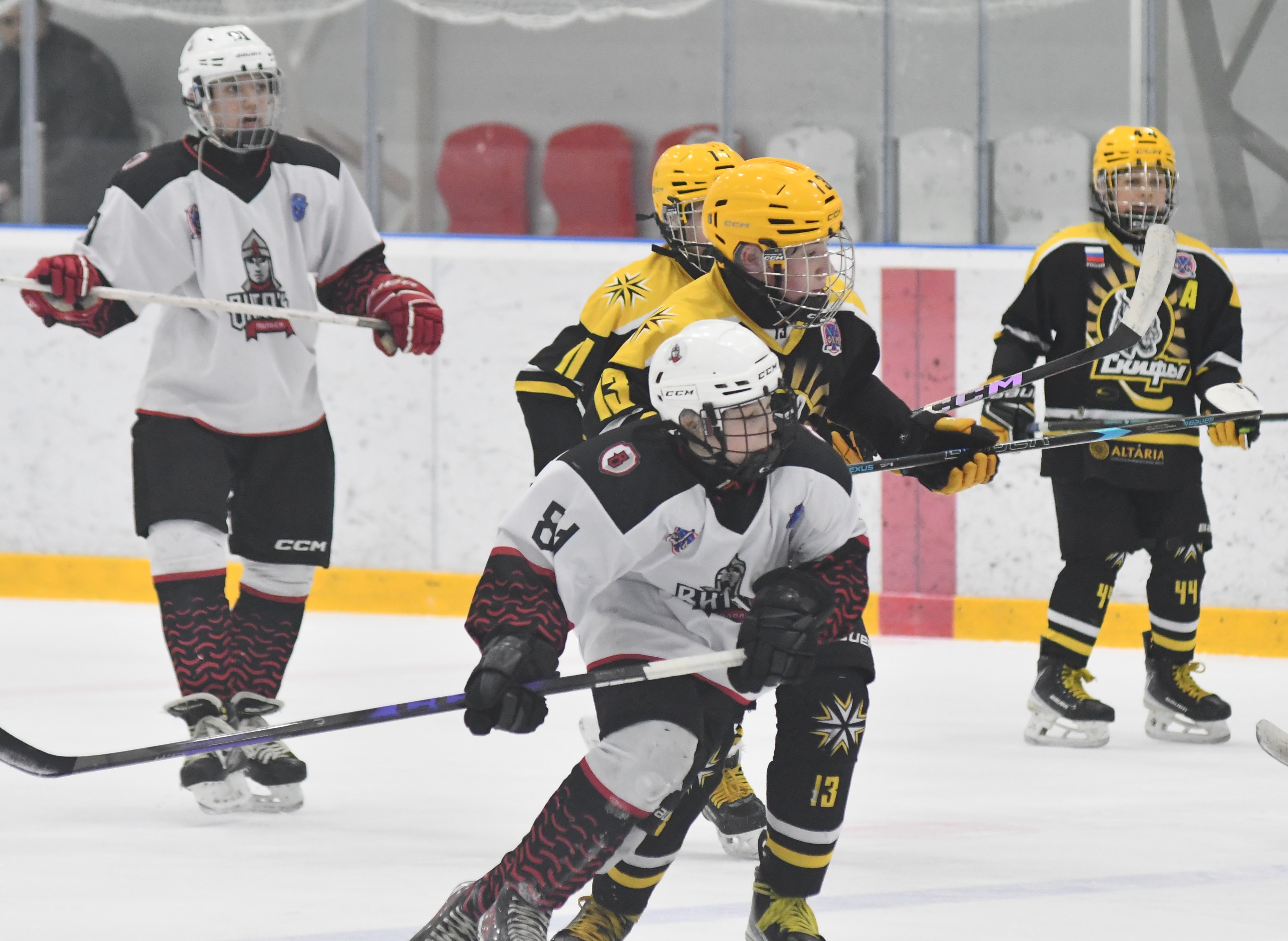 Фото: ХК Скифы - Витязь (Подольск) 2013, переходный матч