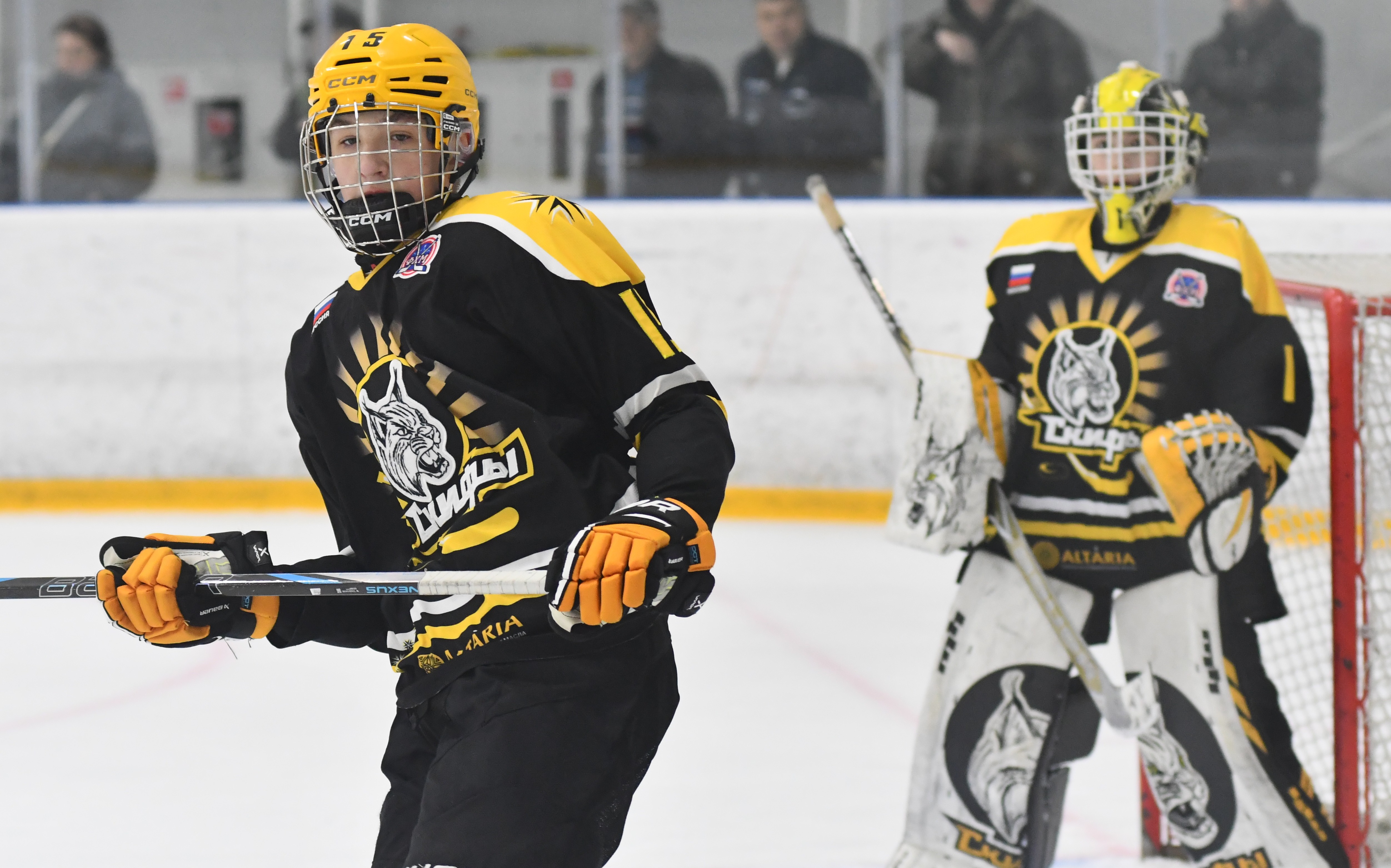 Фото: ХК Скифы - Витязь (Подольск) 2013, переходный матч