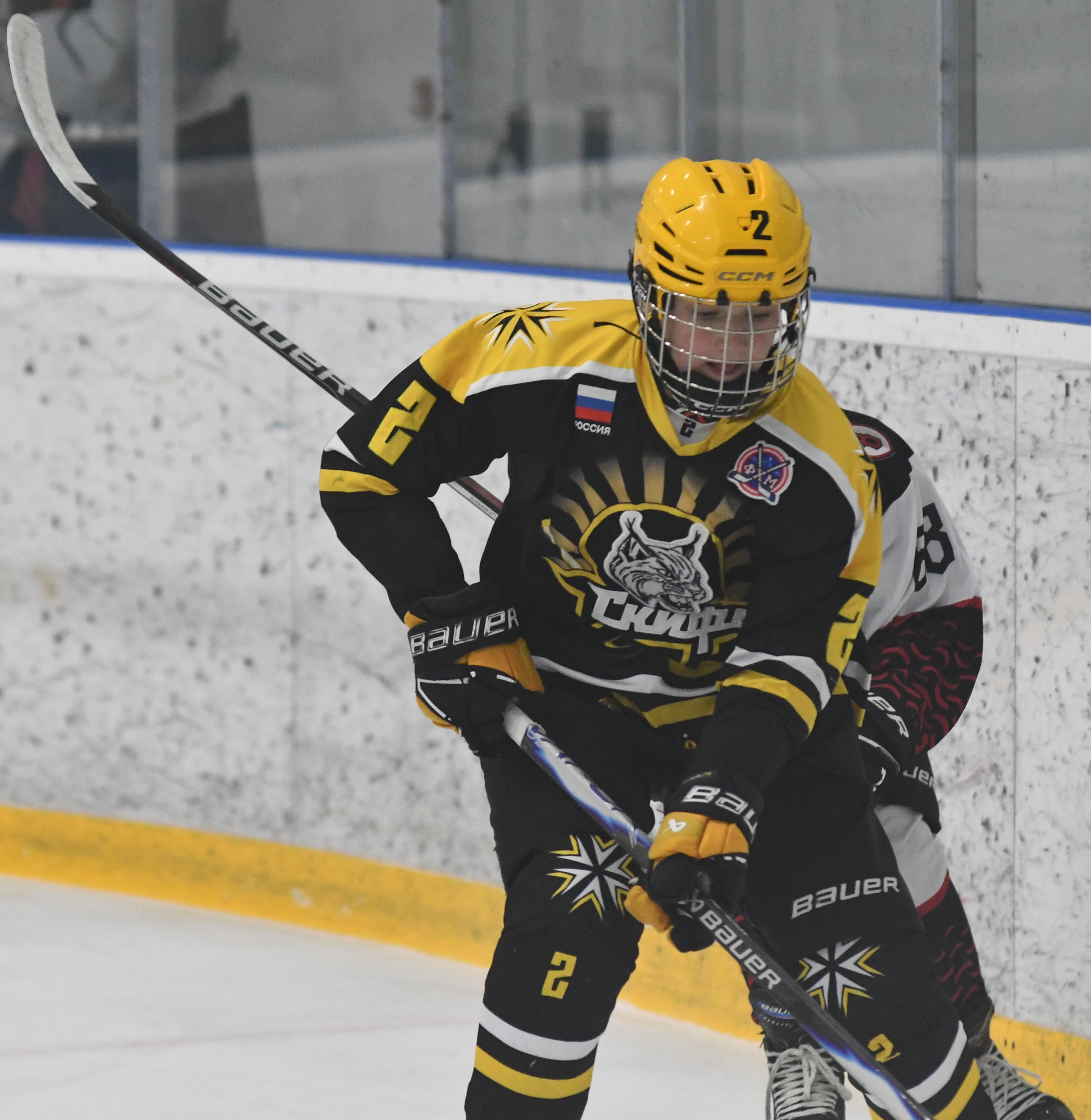 Фото: ХК Скифы - Витязь (Подольск) 2013, переходный матч