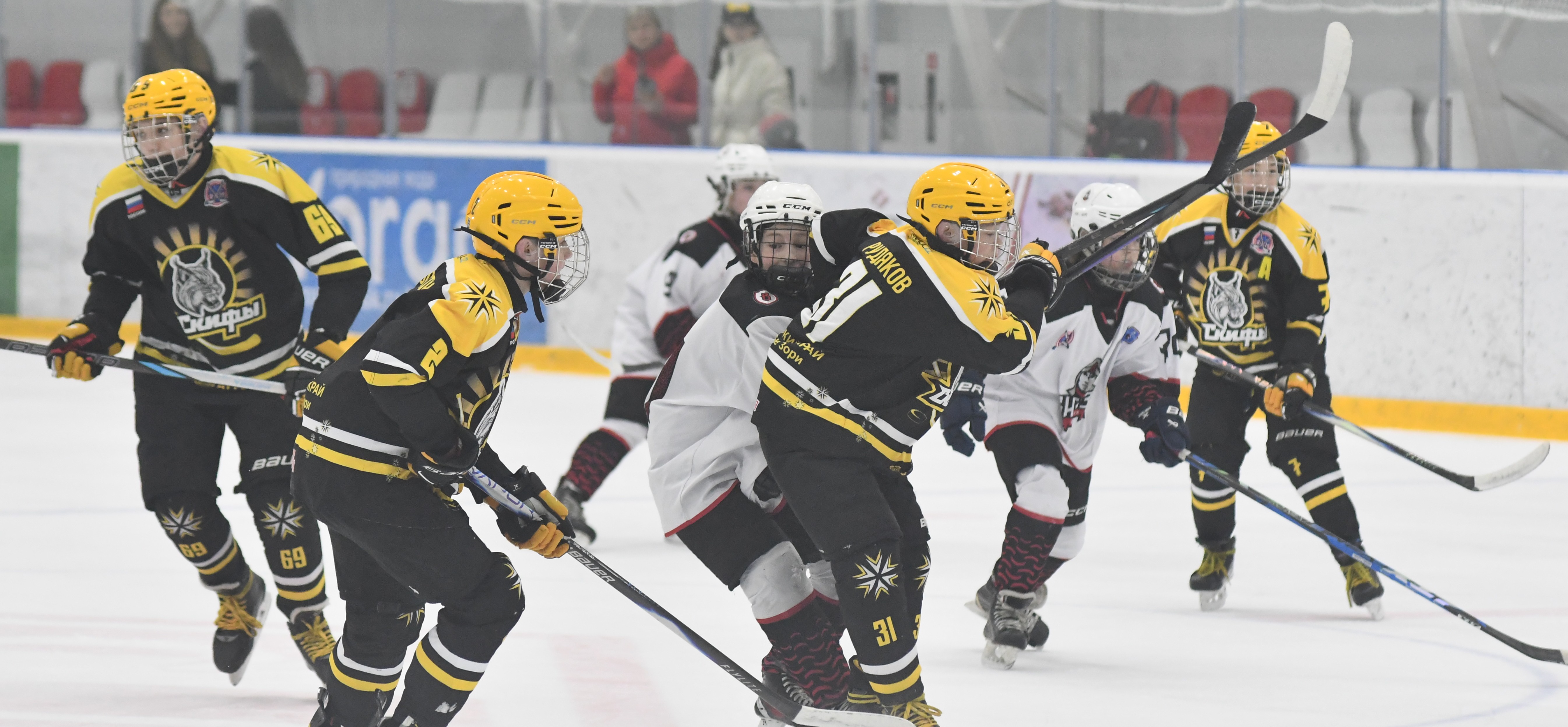 Фото: ХК Скифы - Витязь (Подольск) 2013, переходный матч