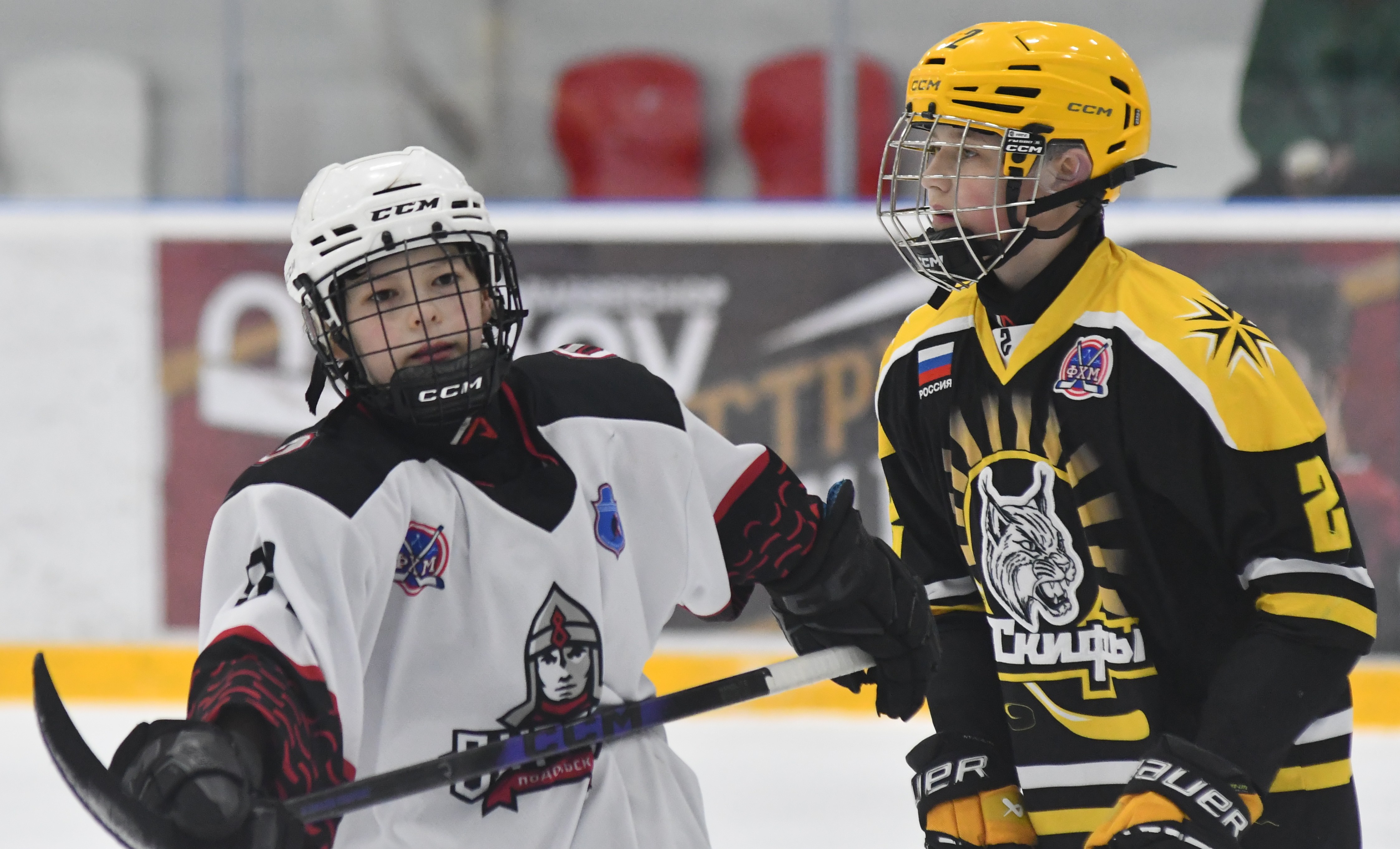 Фото: ХК Скифы - Витязь (Подольск) 2013, переходный матч