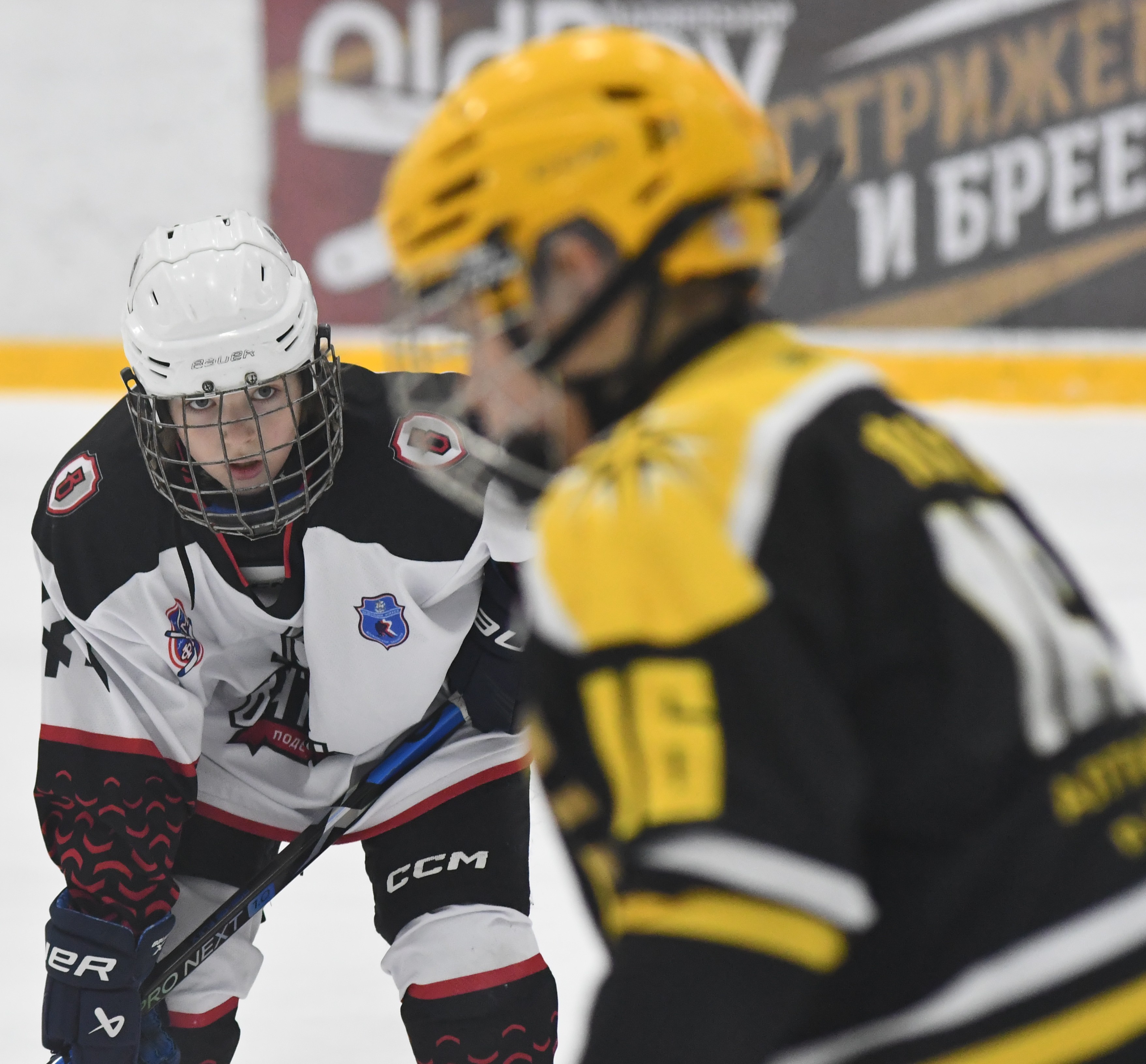 Фото: ХК Скифы - Витязь (Подольск) 2013, переходный матч