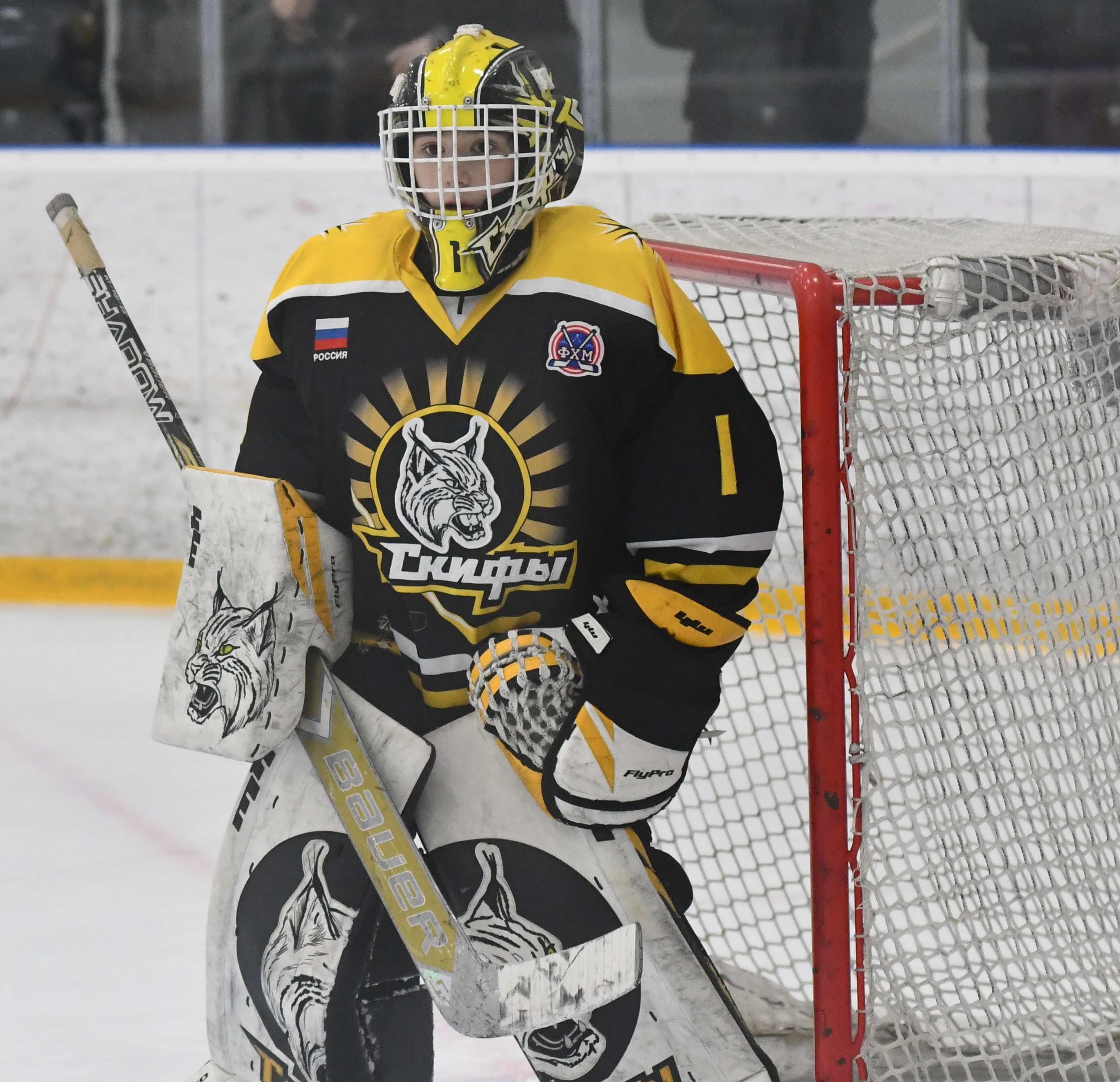 Фото: ХК Скифы - Витязь (Подольск) 2013, переходный матч