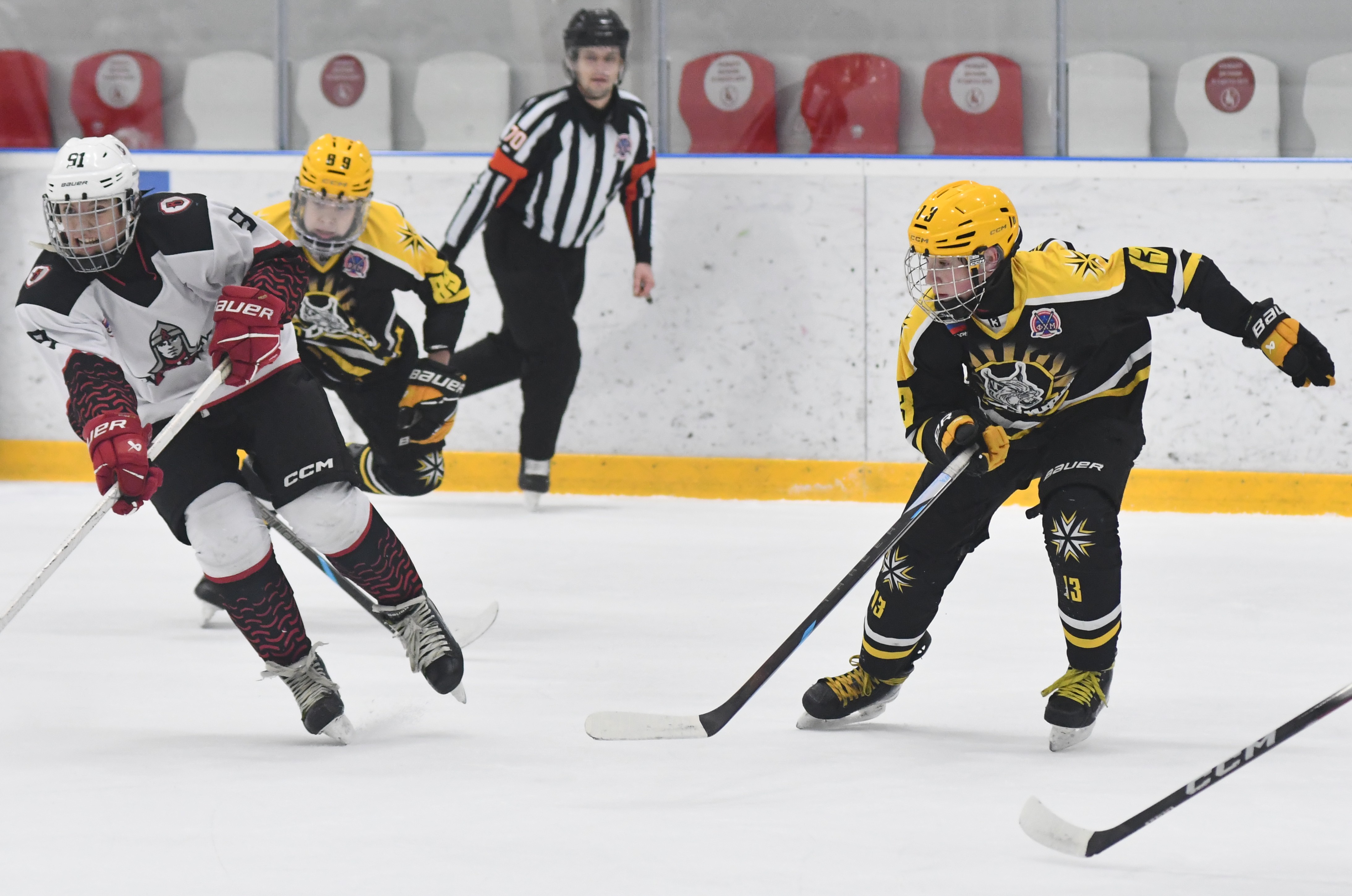 Фото: ХК Скифы - Витязь (Подольск) 2013, переходный матч